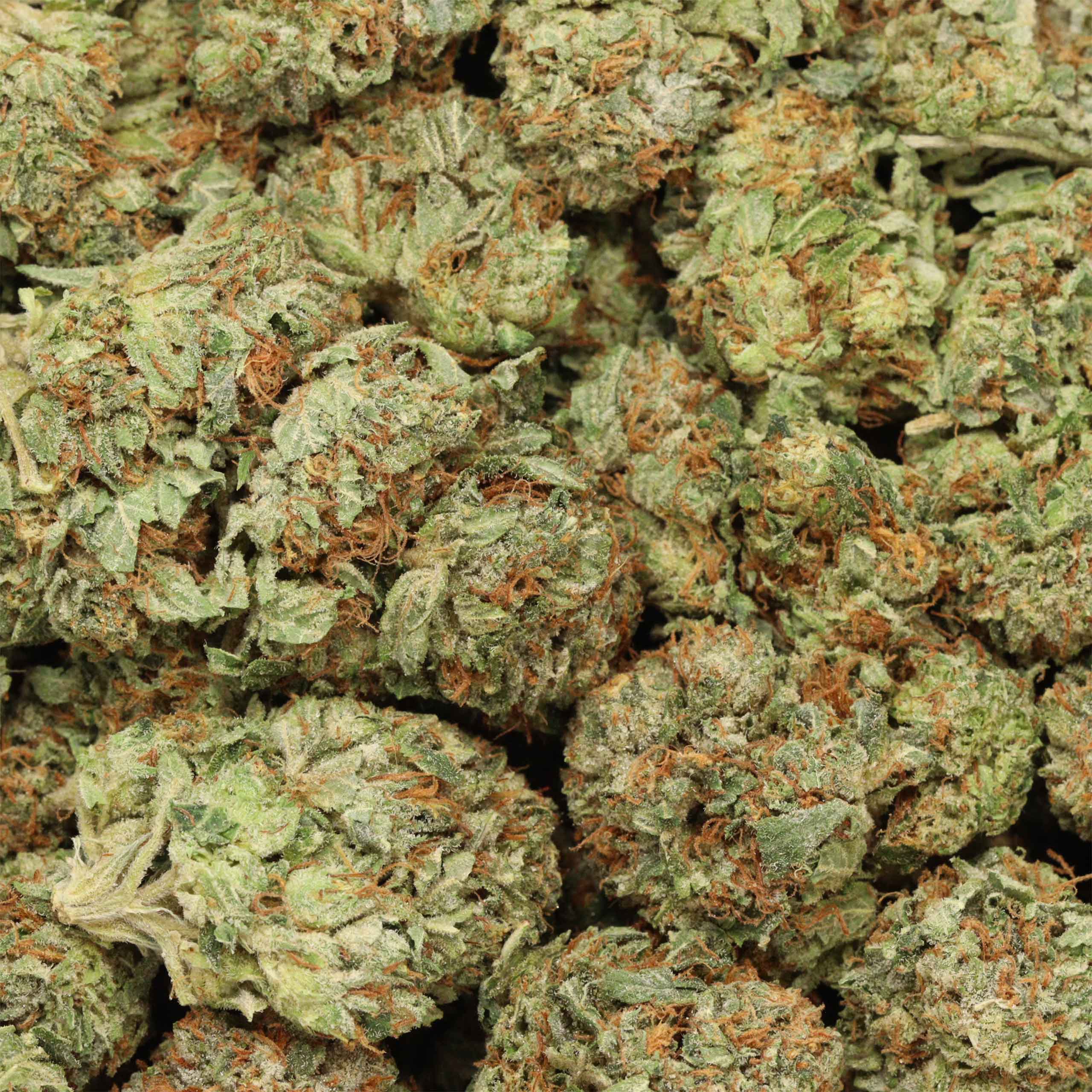 ⛽️Afghan Kush AAAA⛽️ Indica