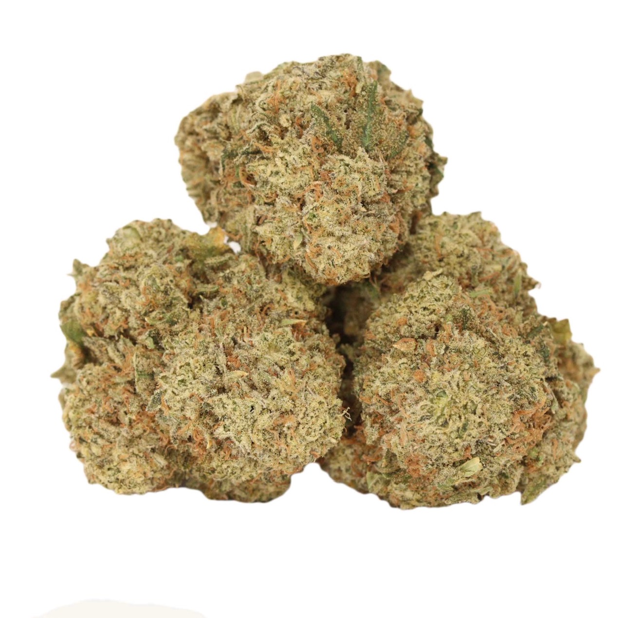 Jackfruit AAA+ (Sativa)