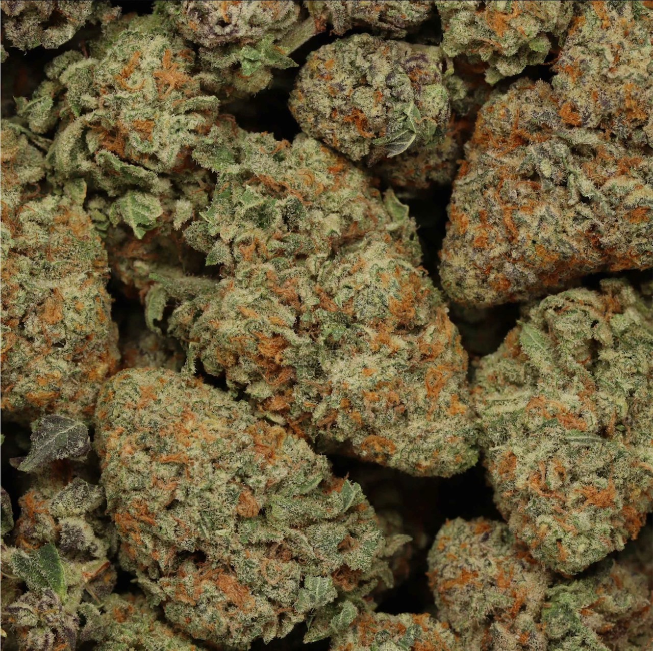 Durban Poison AAAA (sativa)