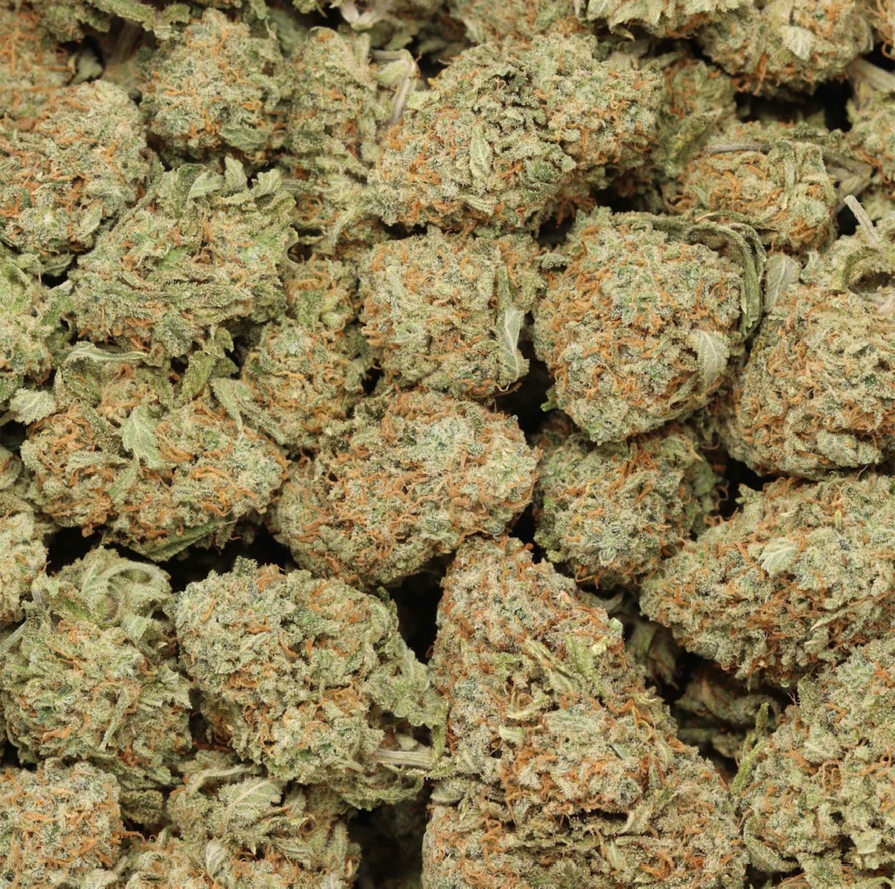 West Coast Diesel AAAA (Sativa)