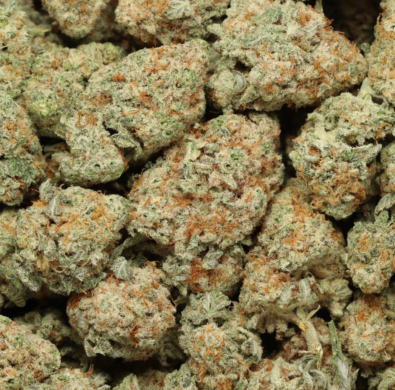 Wedding Cake AAAA Indica *Highly Recommended, Popular, yummy, & sticky!*