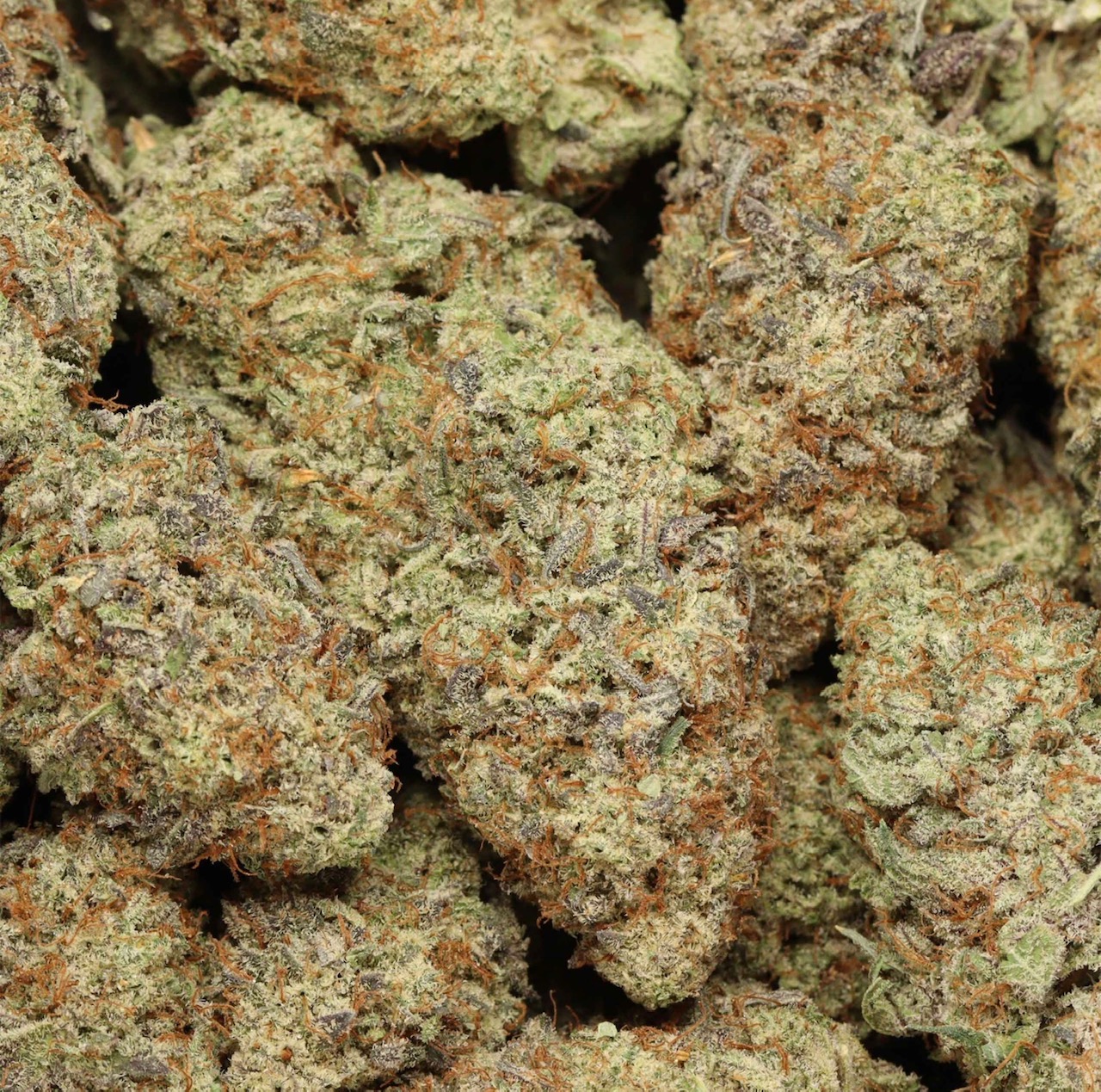 Khalifa Kush AAAA+ Indica Craft