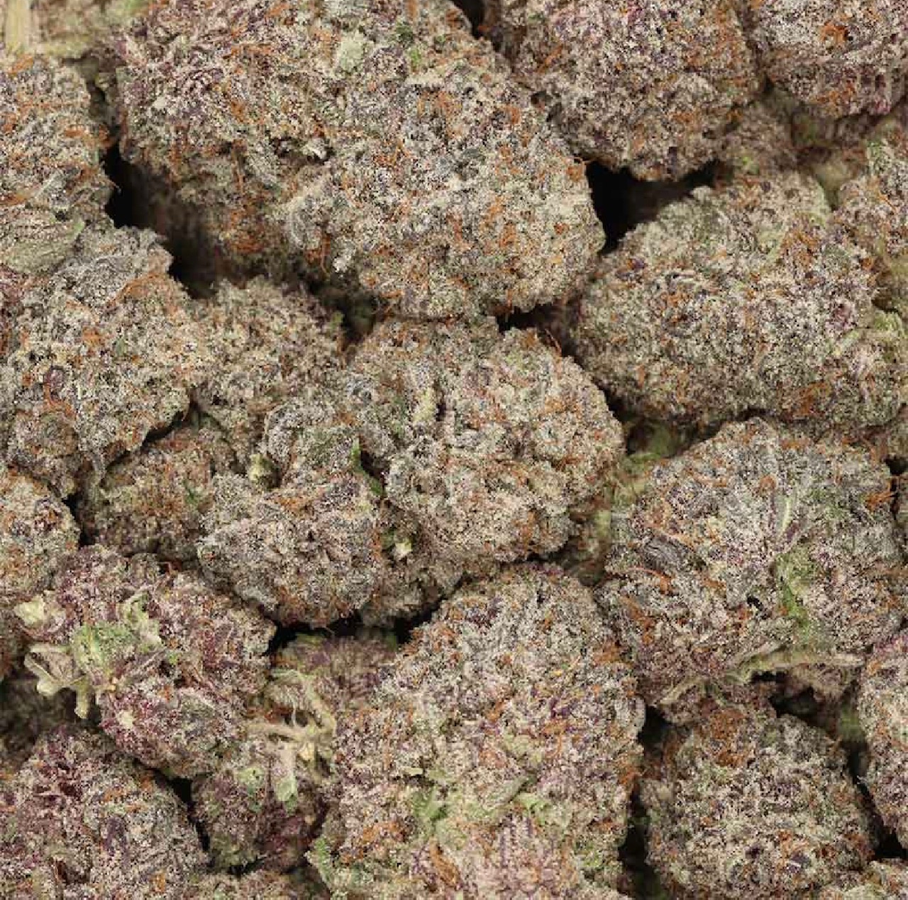 Grape Cake AAAA+ Hybrid Craft