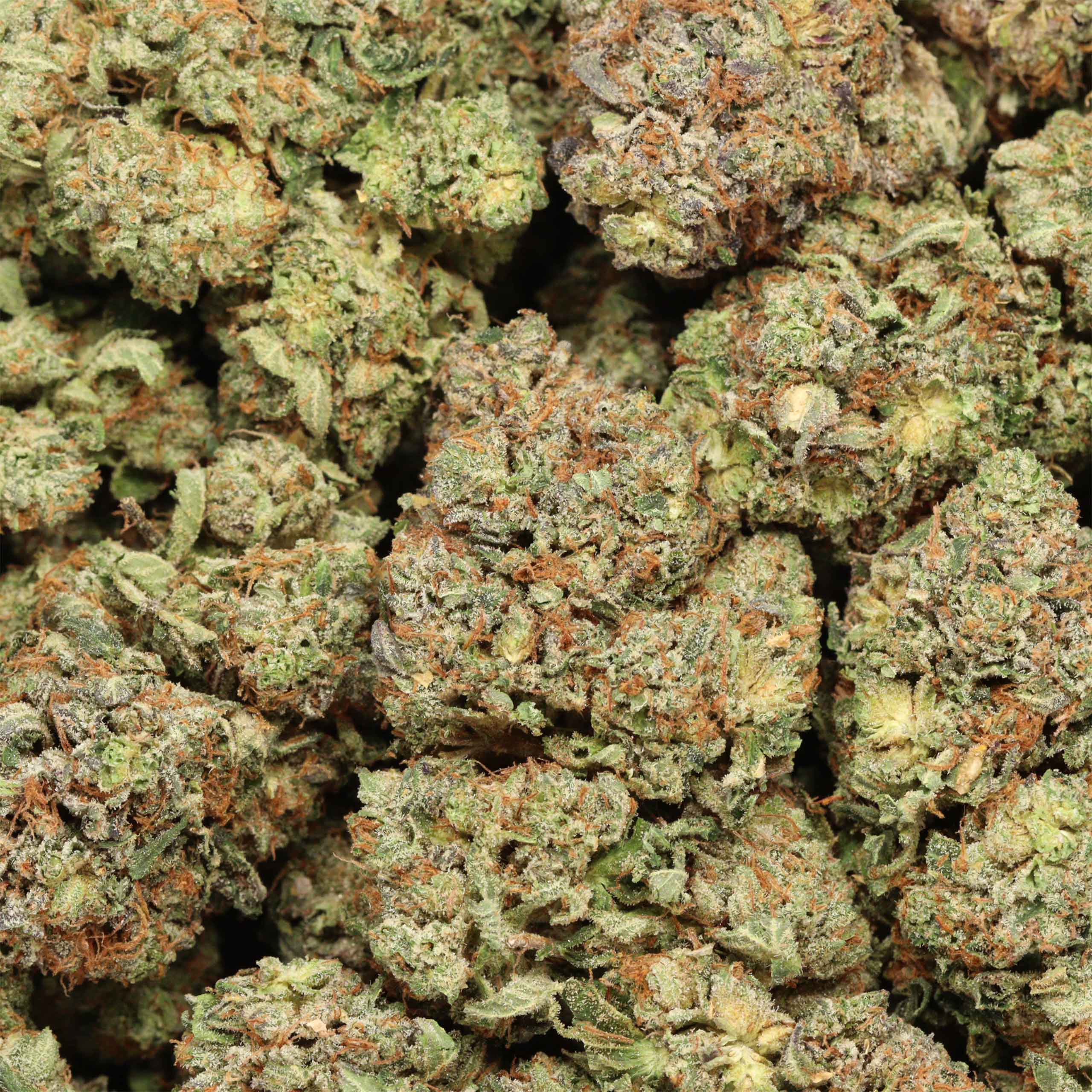 Hydro Death Bubba AAAA Indica