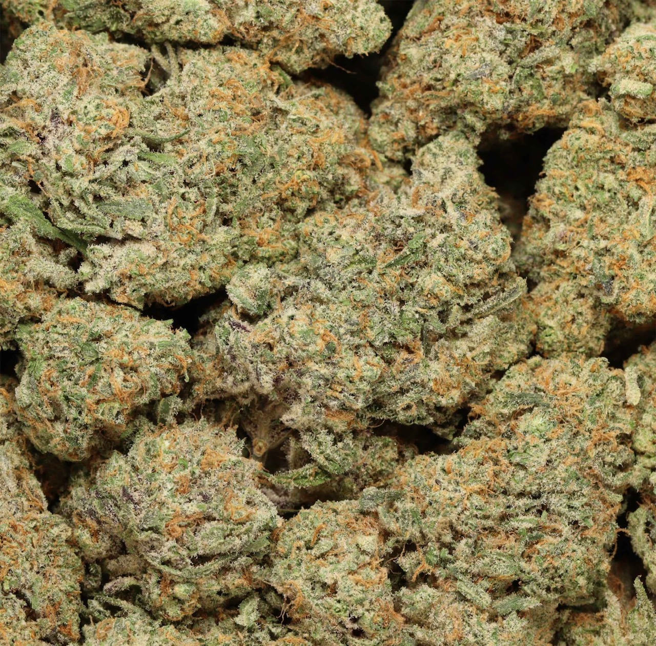 🧨🔥Quantum Kush🔥🧨AAAA+Sativa Craft *Must try! Truly amazing Sativa!*
