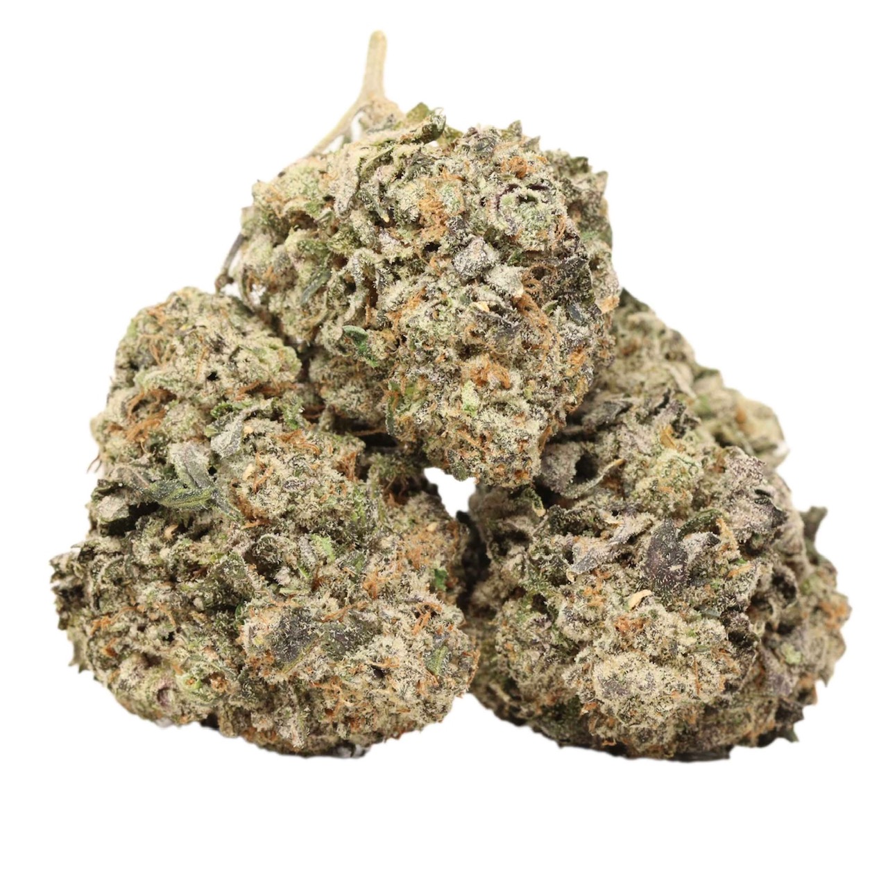 🧨🔥Dank Sinatra🔥🧨 AAAA+ Indica Craft