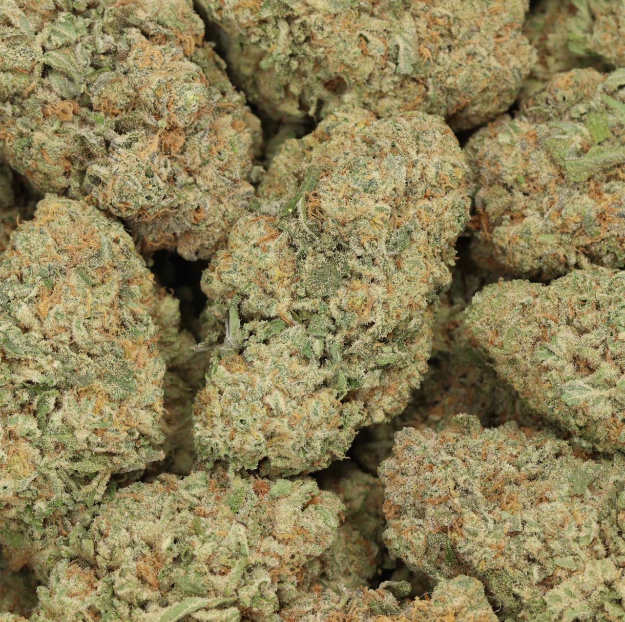 Ultimate Trainwreck AAAA+ Sativa Craft
