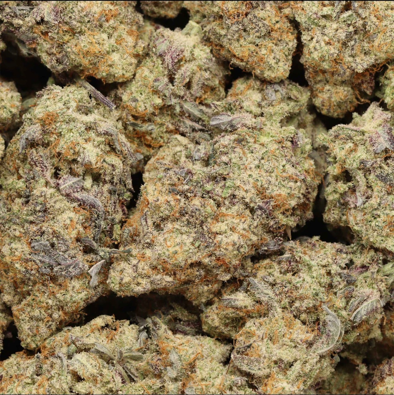 MacFlurry AAAA+ Hybrid Craft