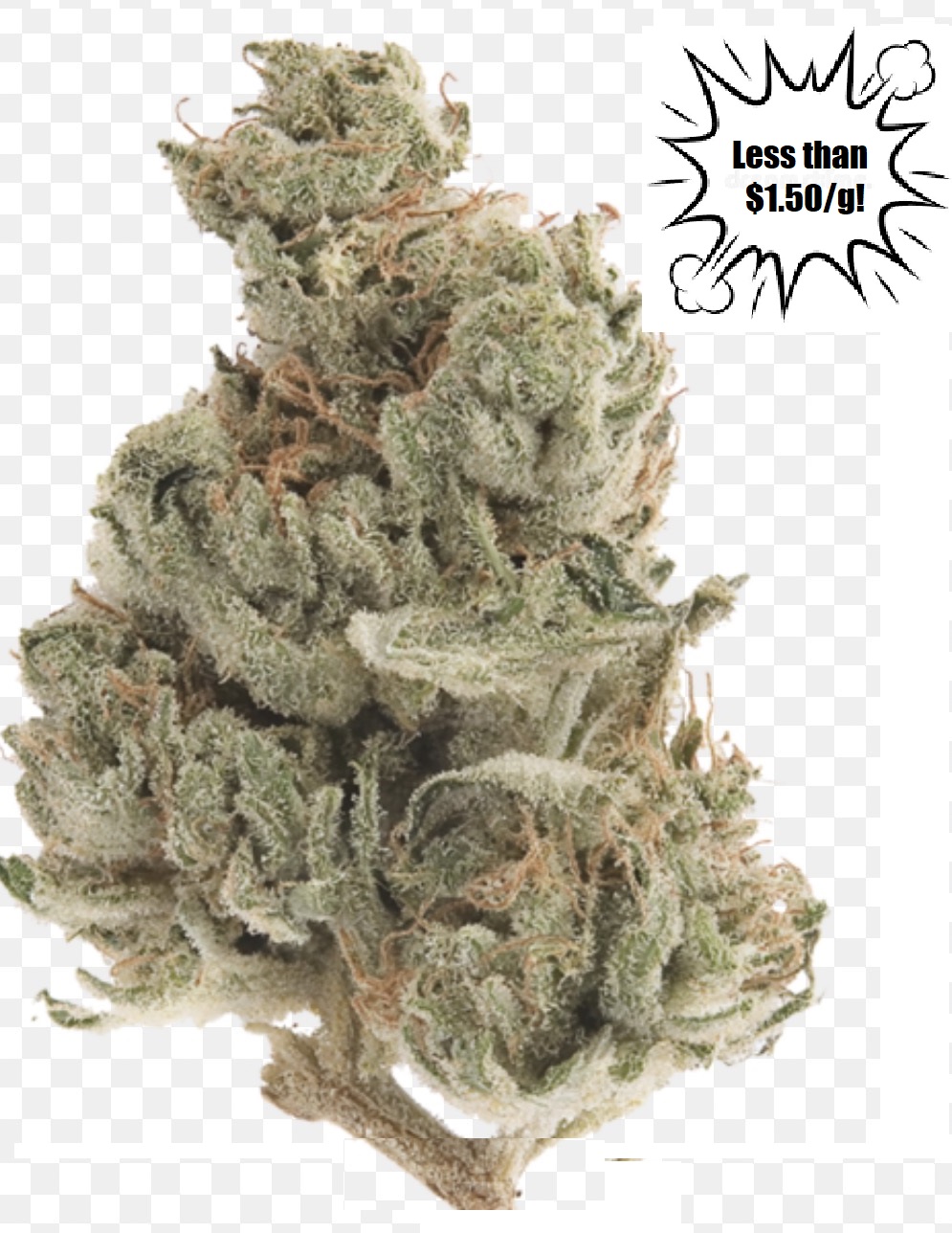 Budget Deal-White Widow AAA *$20/14grams*