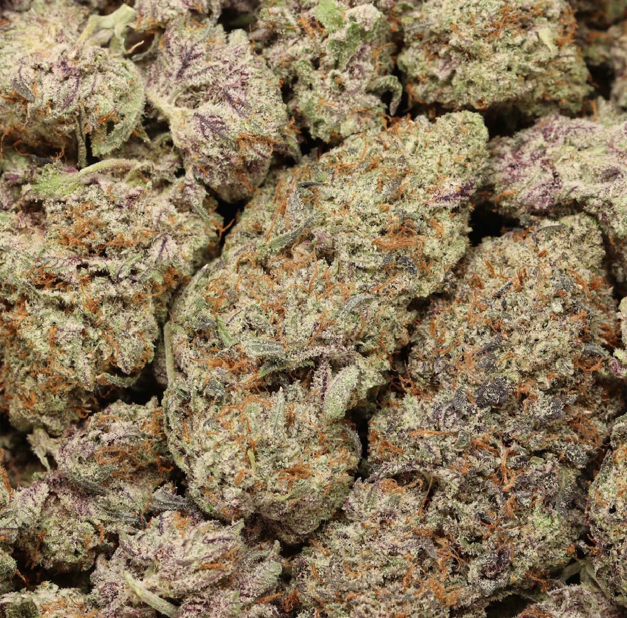 ⛽️Super Jet Fuel Indica Craft AAAA+🔥