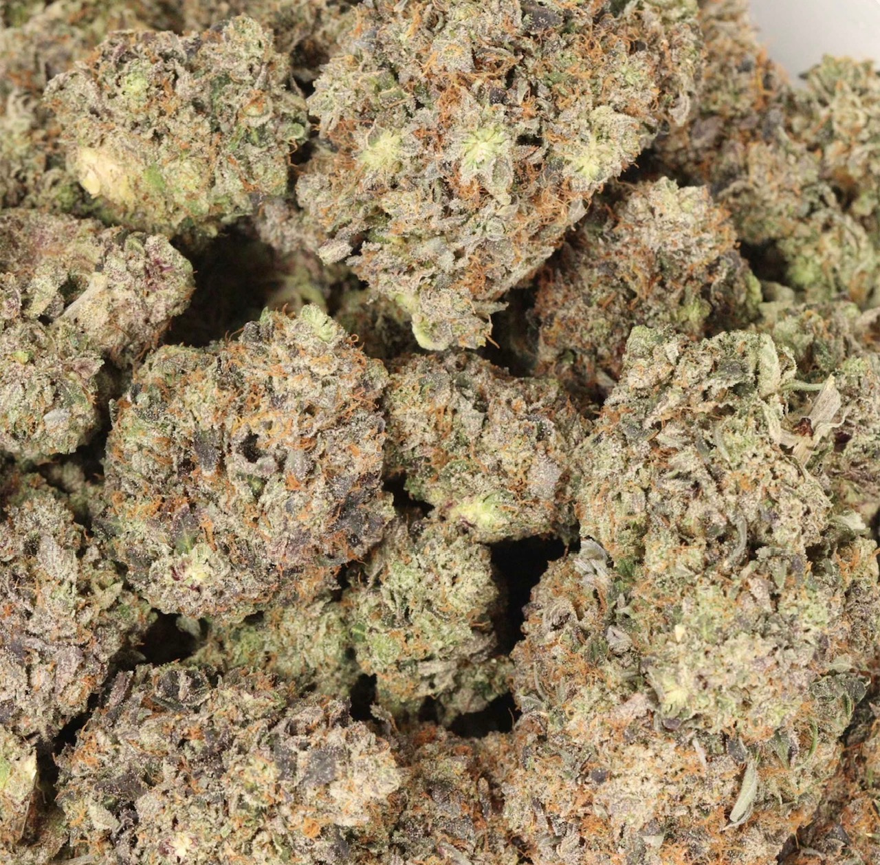 ⛽️🔥Pink Banner🔥⛽️ Indica Super Craft AAAA+ *Highly recommended for experienced users only* 