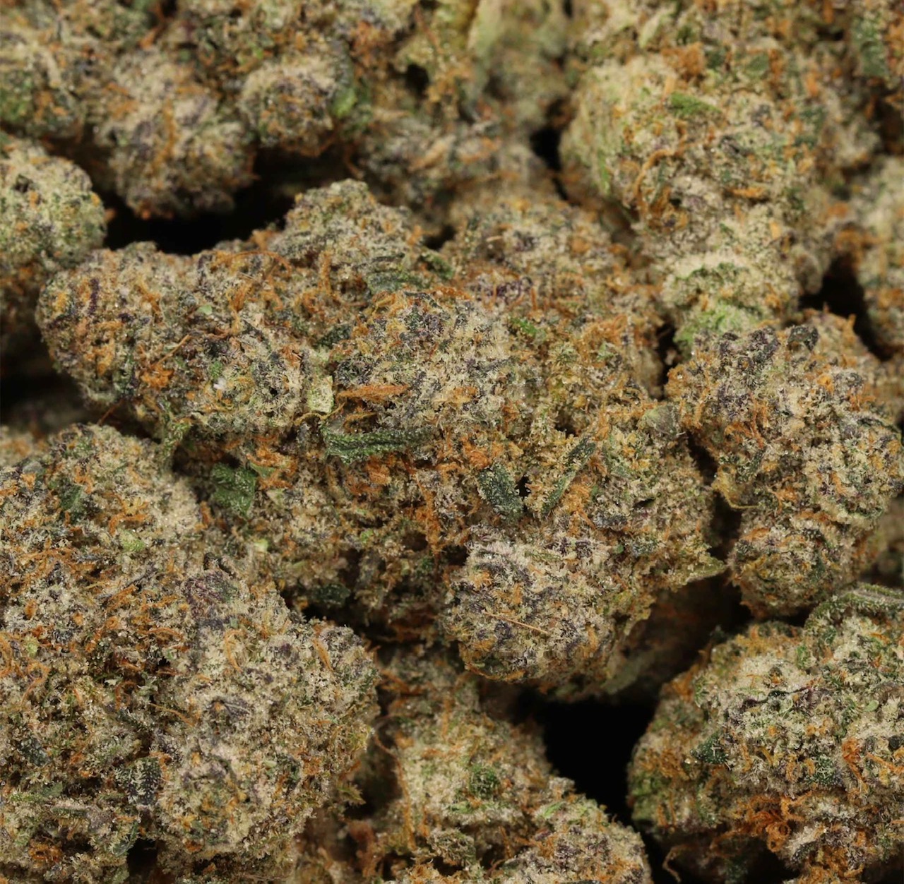 Fish Scale AAAA+ Hybrid Craft *💪Recommended for experienced users💪*