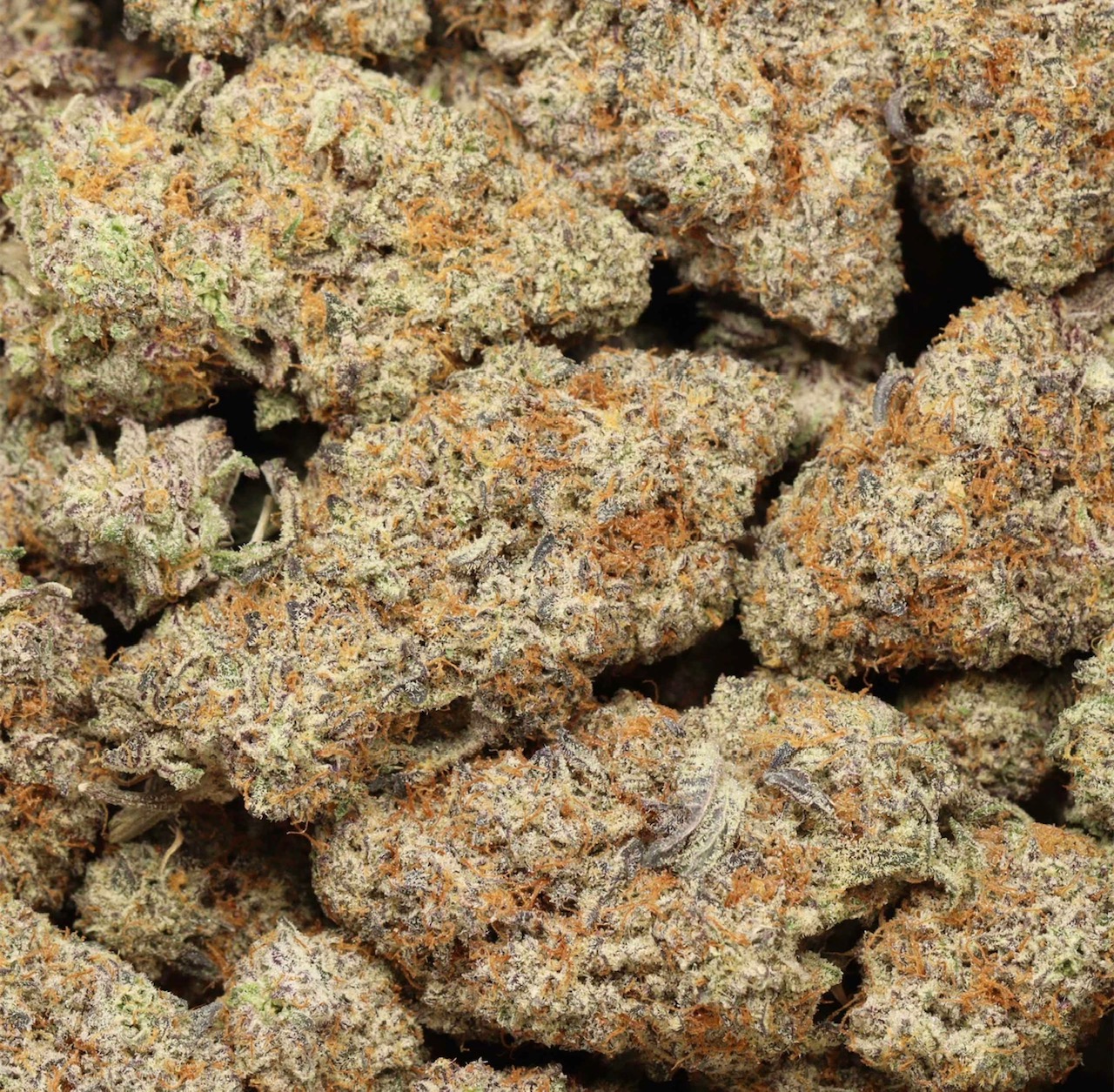 ⛽️Mule Fuel Indica Craft AAAA+🔥