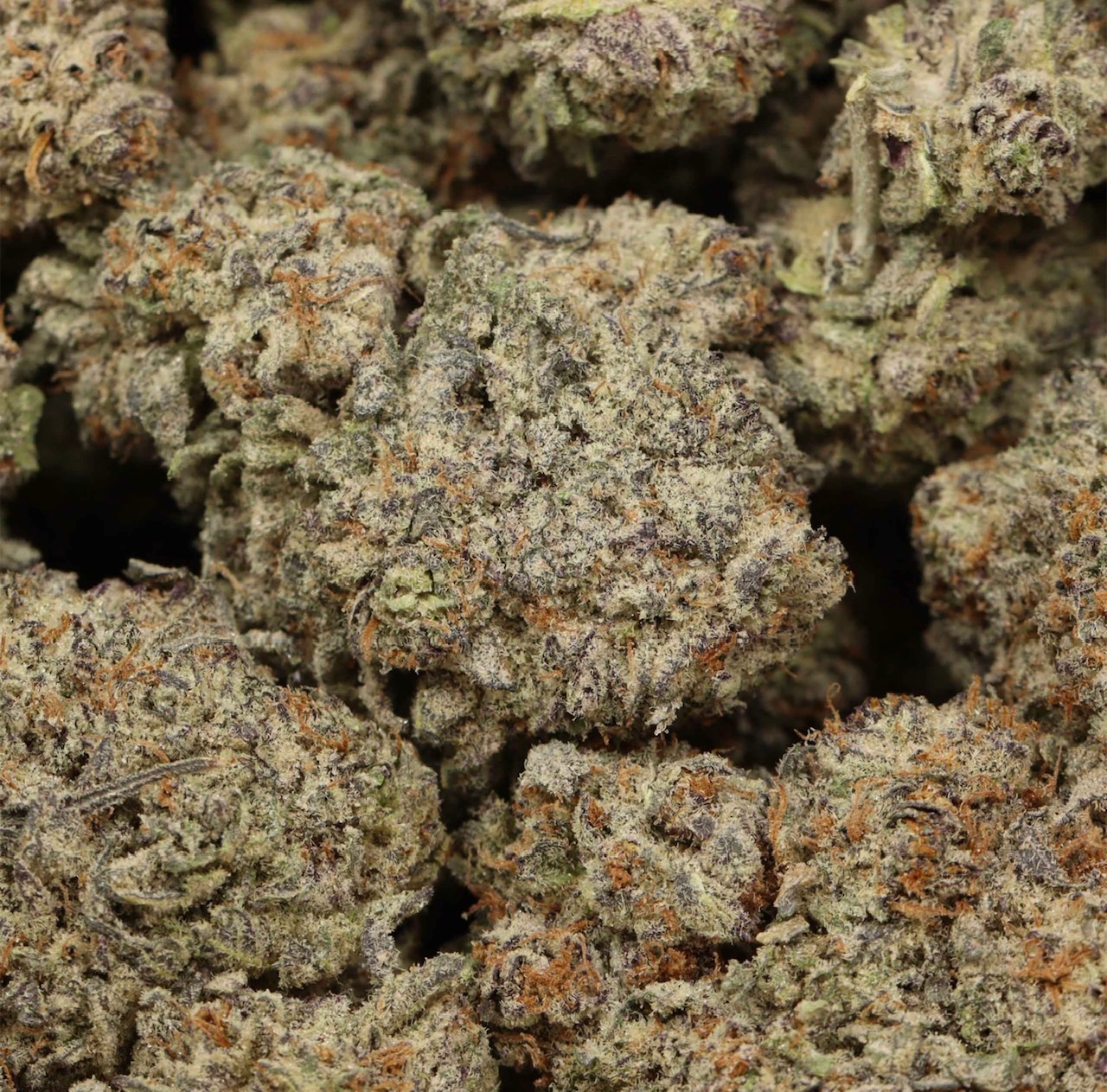 Punch Funk AAAA+ Indica Craft ⛽️