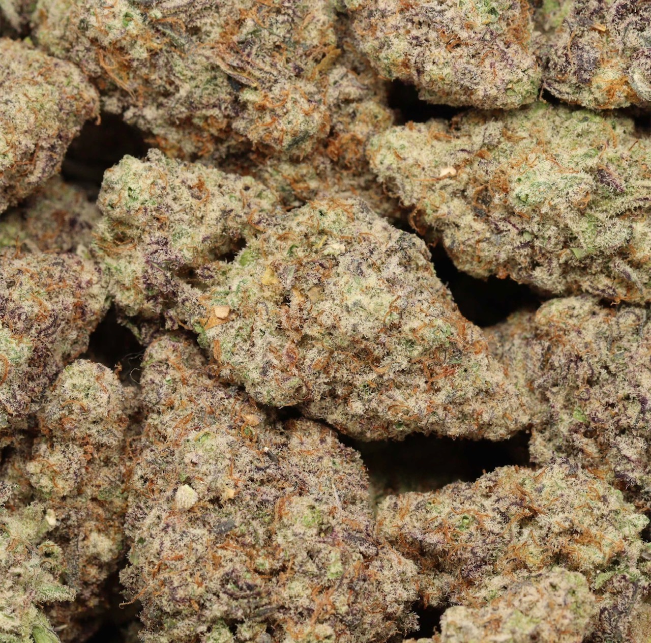 Miracle Alien Cookies Hybrid Craft AAAA+