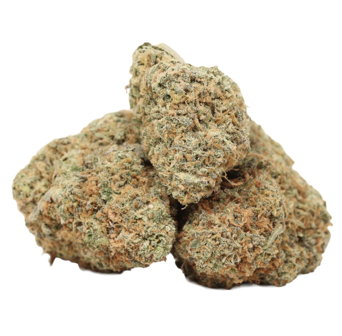 Casey Jones AAAA Sativa *Fantastic, inspirational daytime 🪴🧐*