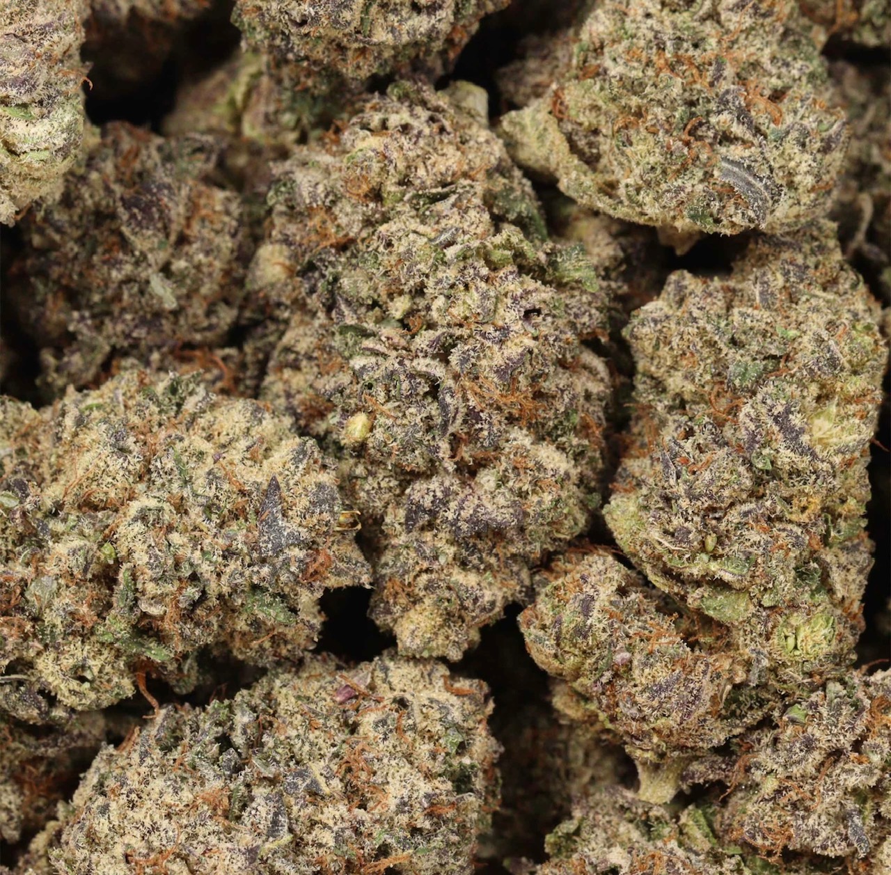 Purple Dank Breath Indica Super Craft AAAA+ *Heavy Hitter💪🥊* Highly recommended for experienced users only*