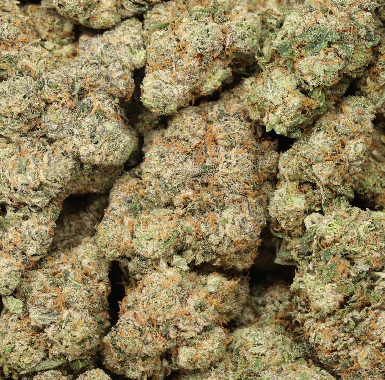 Jokers Candy Indica Craft AAAA+ 