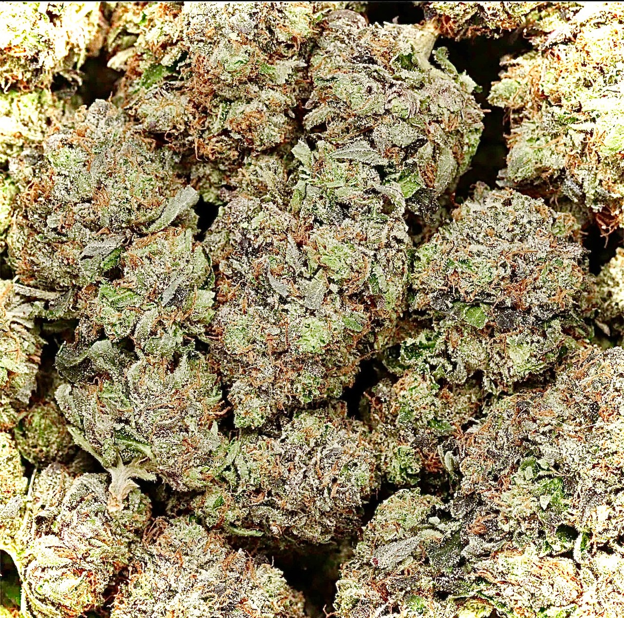 Pink Banner AAAA+ Indica Craft *🔥⛽️ Heavy Hitter*