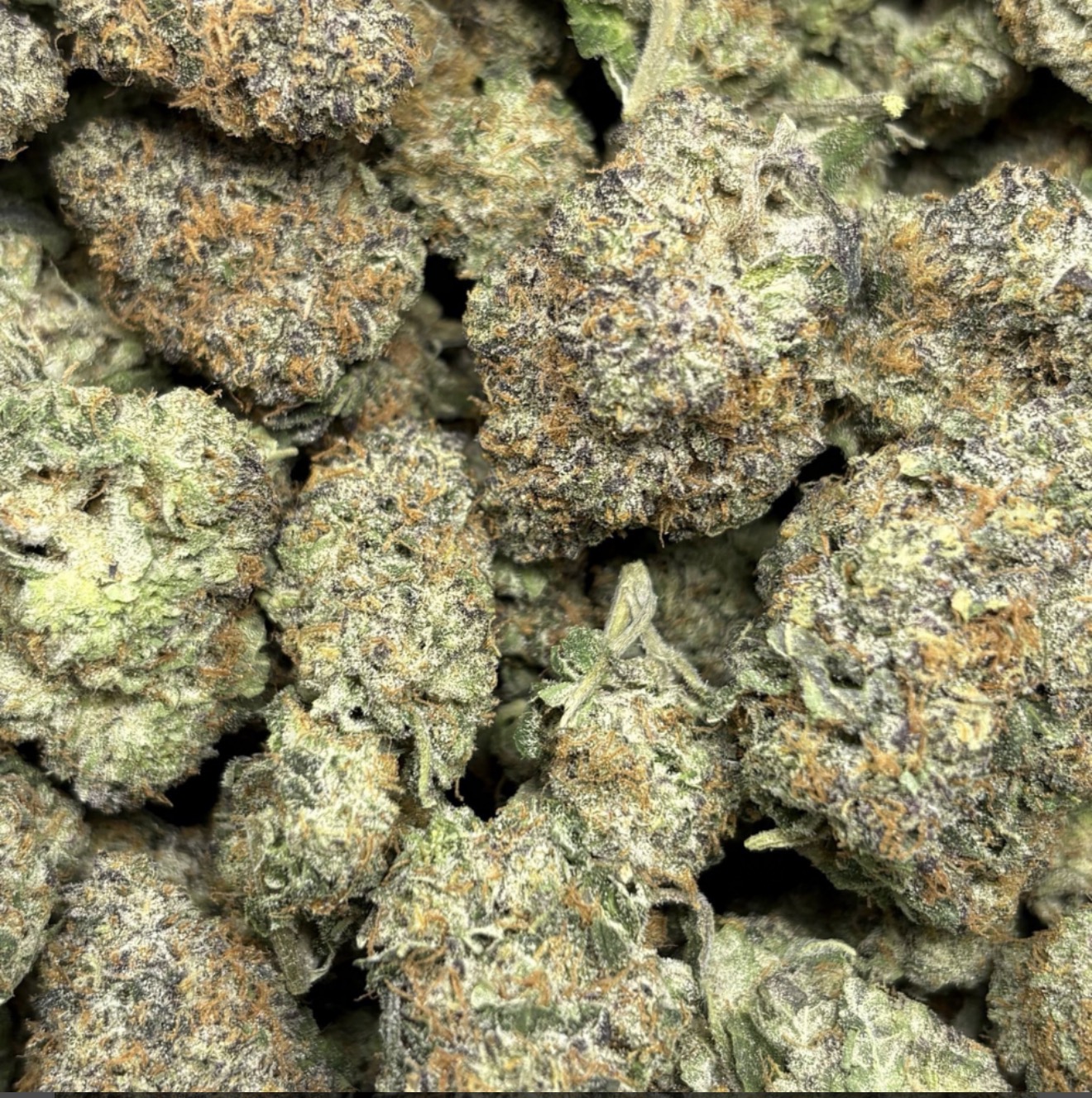 Must Try!-Wedding Cake (Trip Exotic Farm 🔥AAA++🤤) *$28/7grams*$52.50/14grams*