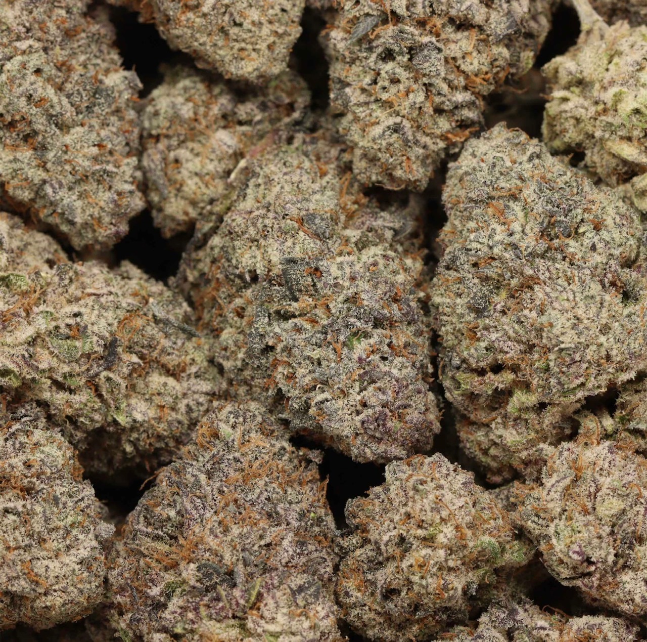 Purple Banana Breath AAAA+ Indica Craft