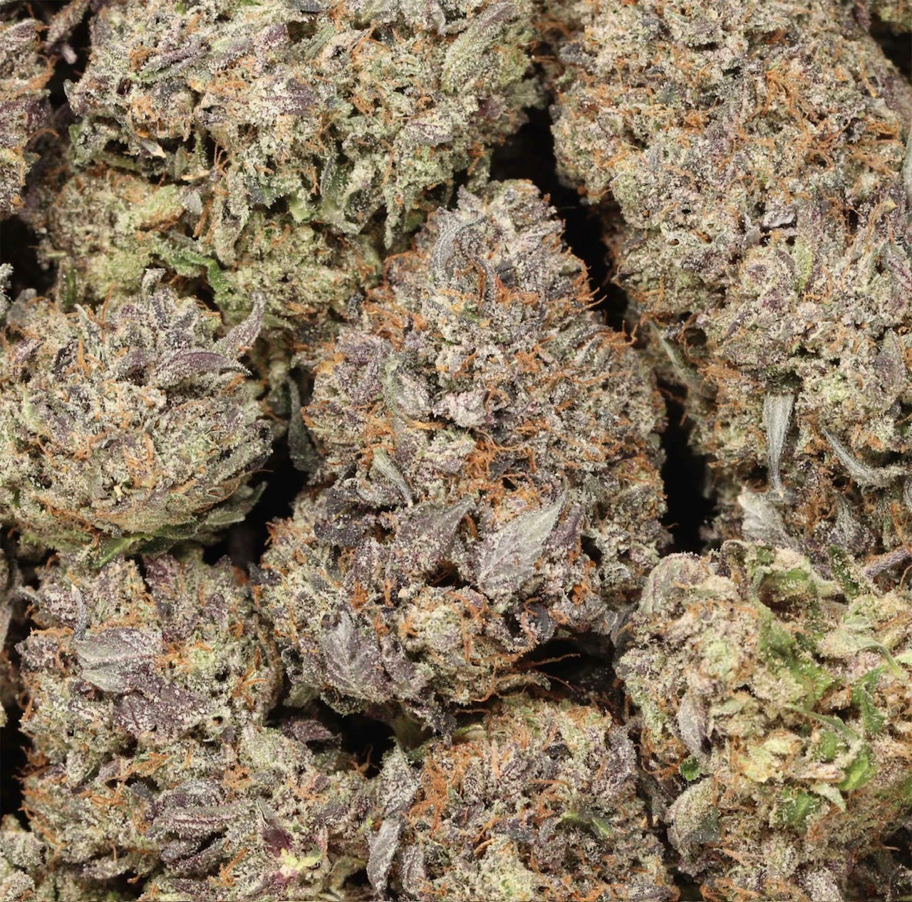 Death Butter Breath AAAA+ Indica Craft *🔥⛽️ Heavy Hitter*