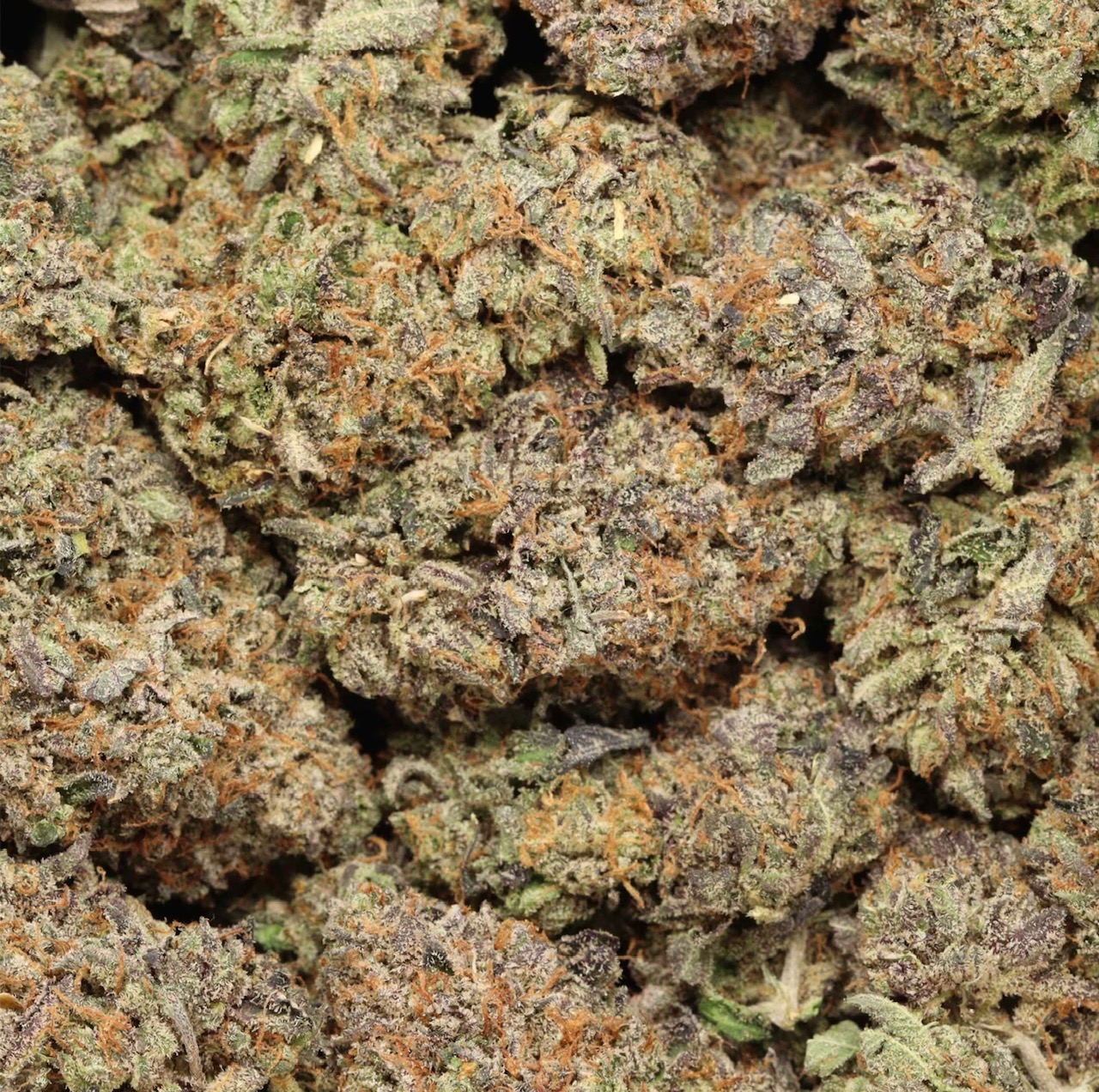 🔥Tuna Kush AAAA+ Indica Craft🔥 
