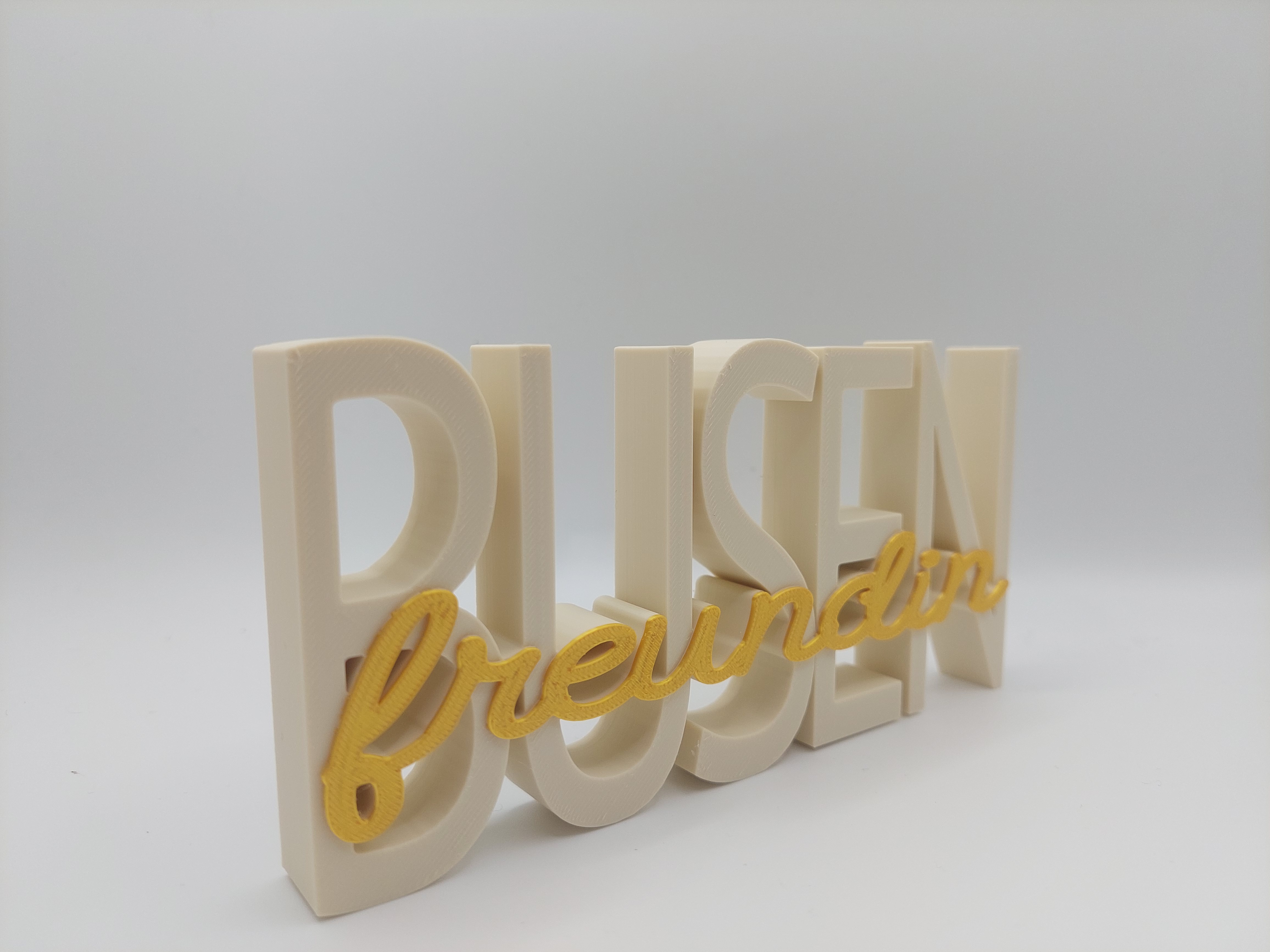 BUSENfreundin Schriftzug