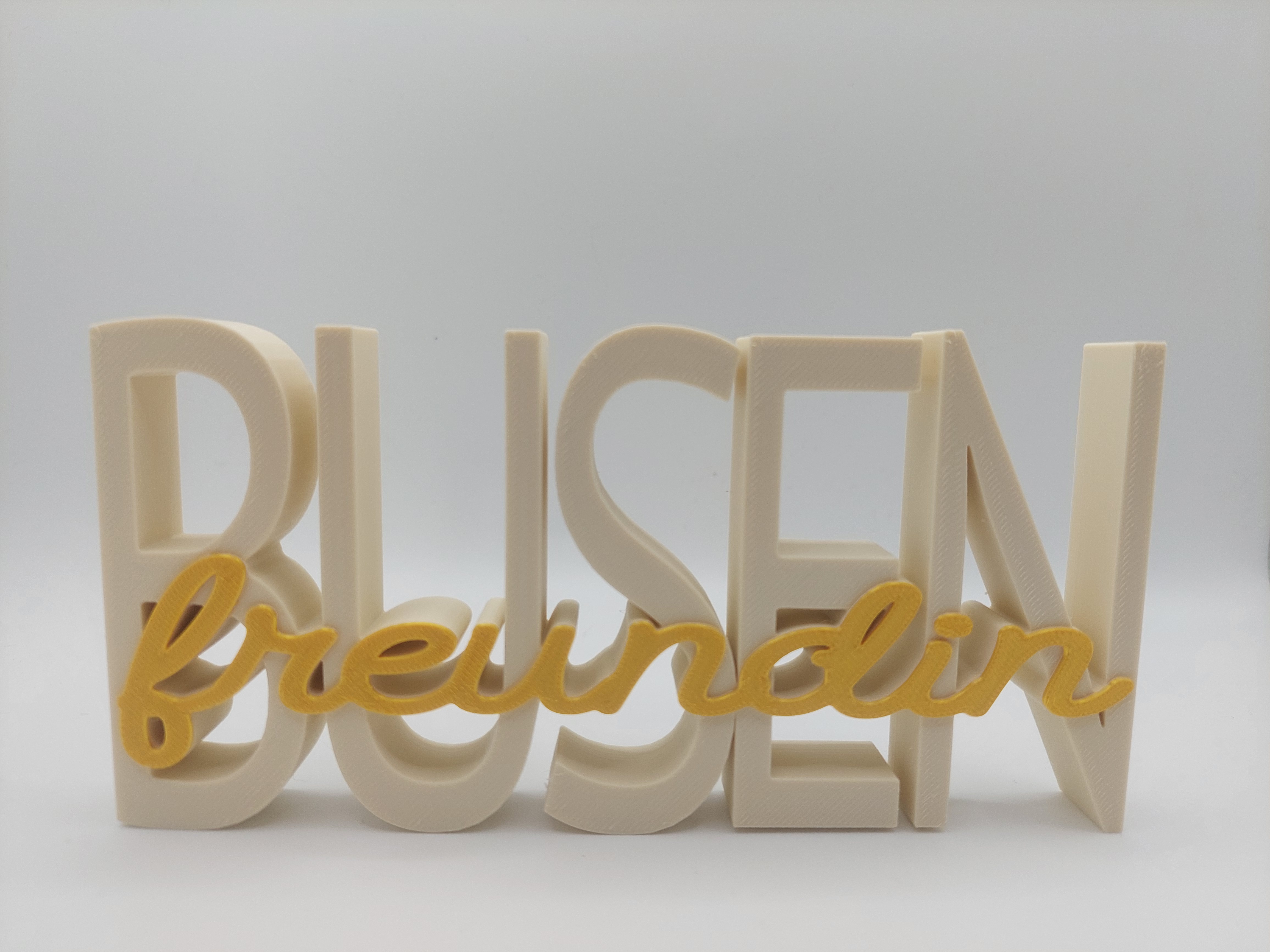 BUSENfreundin Schriftzug