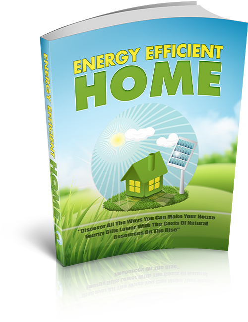 Energy Efficient Home