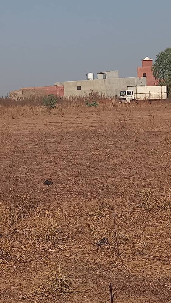 69 parcelles à Diatoula-cité de la paix (Bamako) – 6 500 000 FCFA l’unité
