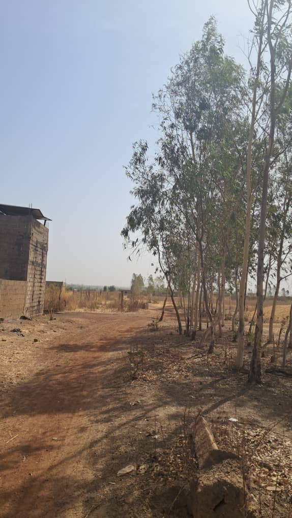190 parcelles à N’Tabacoro (Bamako) – 4 500 000 FCFA l’unité