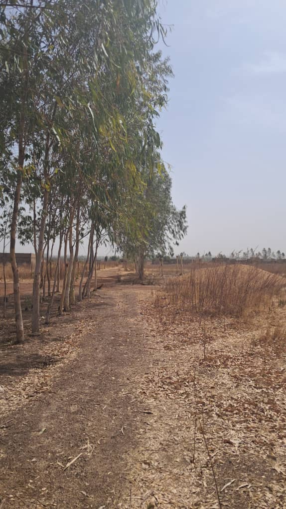190 parcelles à N’Tabacoro (Bamako) – 4 500 000 FCFA l’unité
