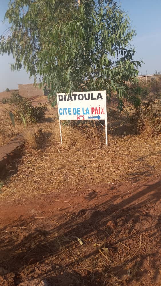 69 parcelles à Diatoula-cité de la paix (Bamako) – 6 500 000 FCFA l’unité