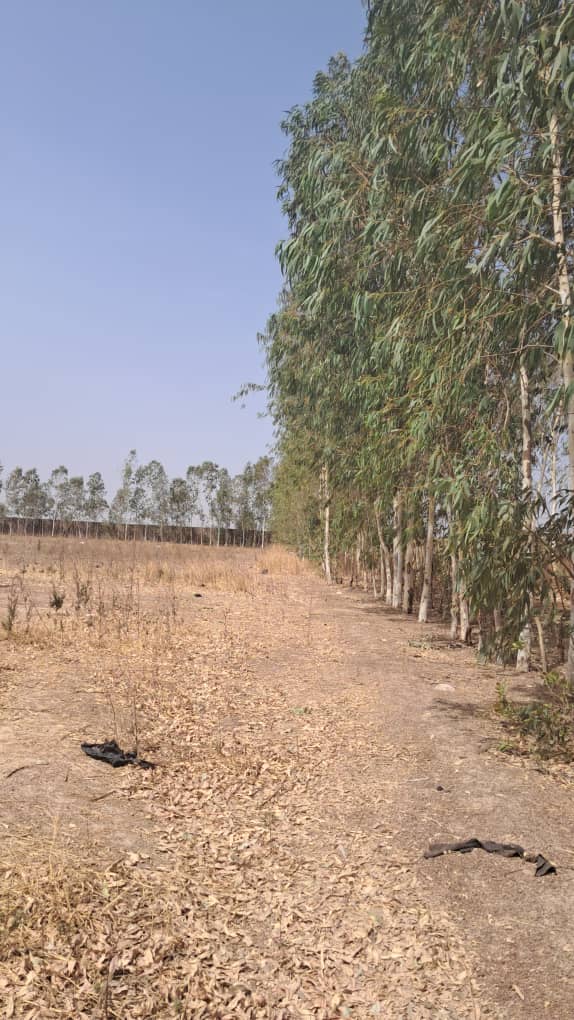 190 parcelles à N’Tabacoro (Bamako) – 4 500 000 FCFA l’unité