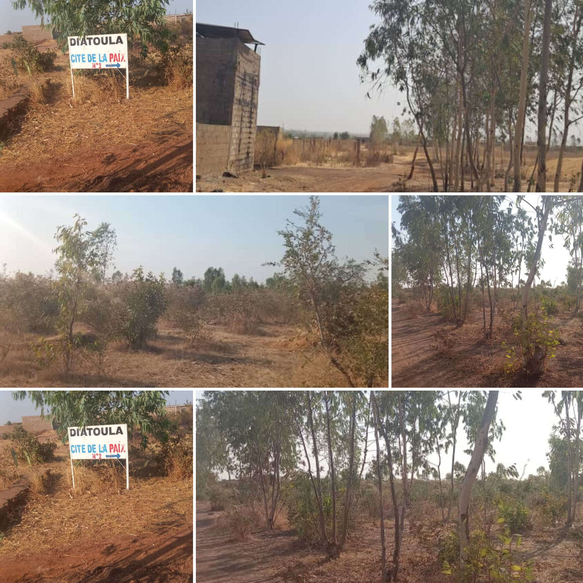 69 parcelles à Diatoula-cité de la paix (Bamako) – 6 500 000 FCFA l’unité