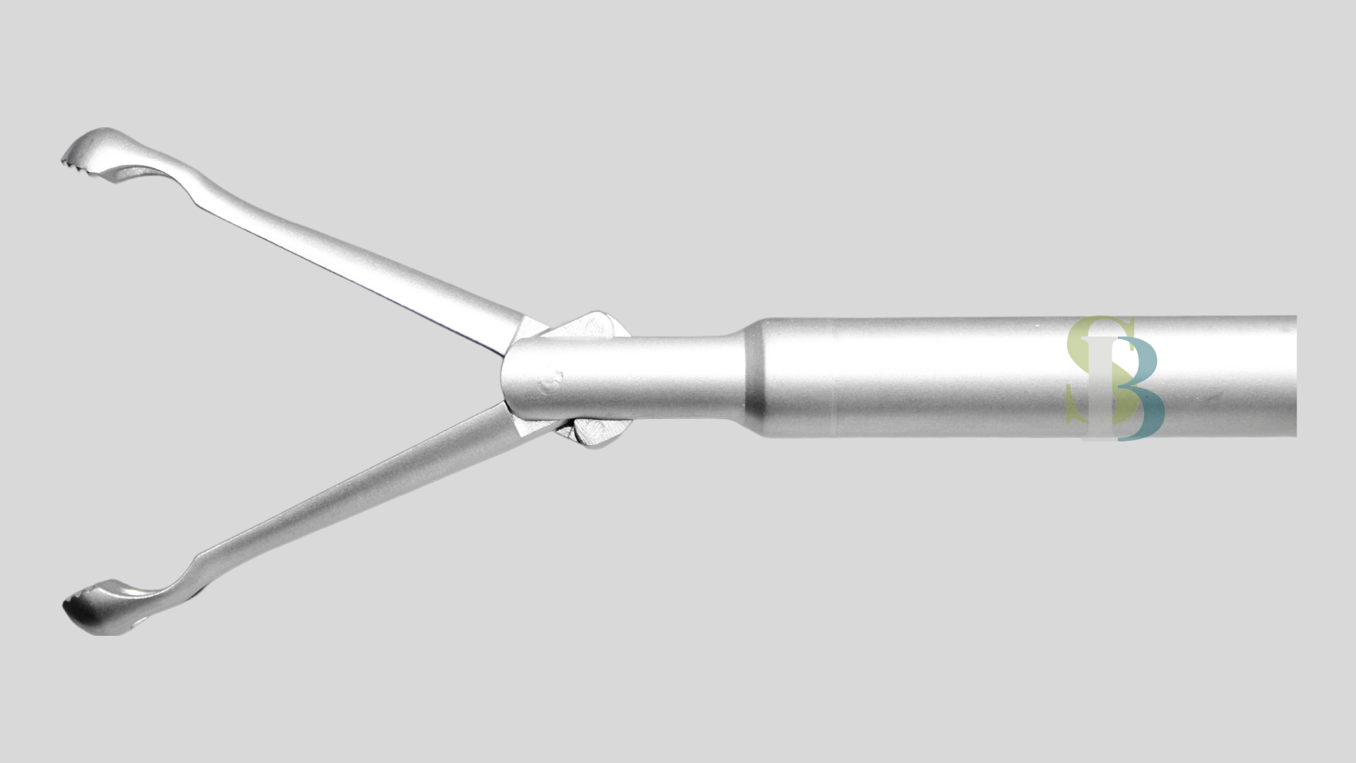 Pinza Babcock 10MM con Cremallera