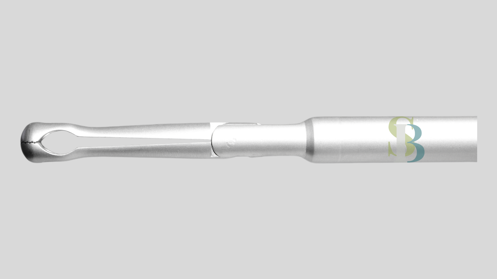 Pinza Babcock 10MM con Cremallera