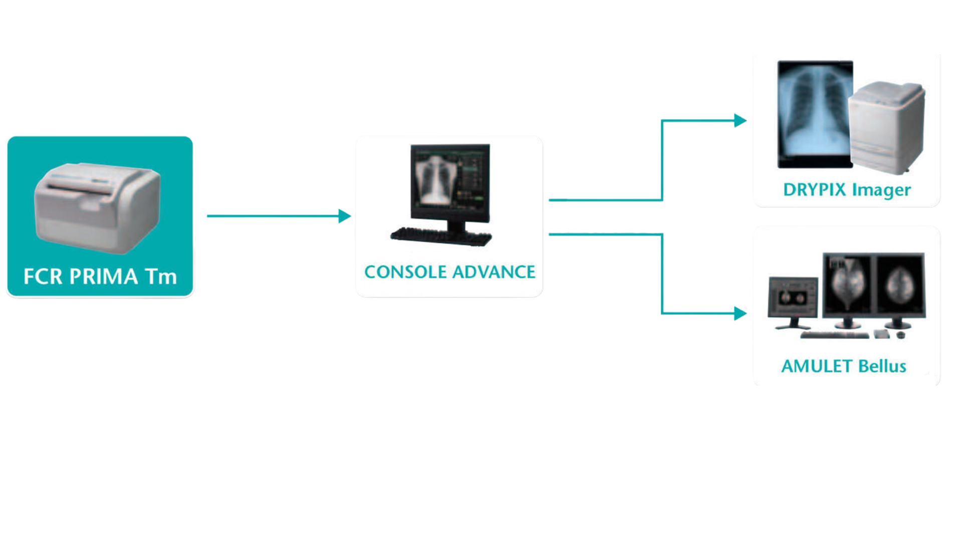 DIGITALIZADOR FUJIFILM PRIMA TM