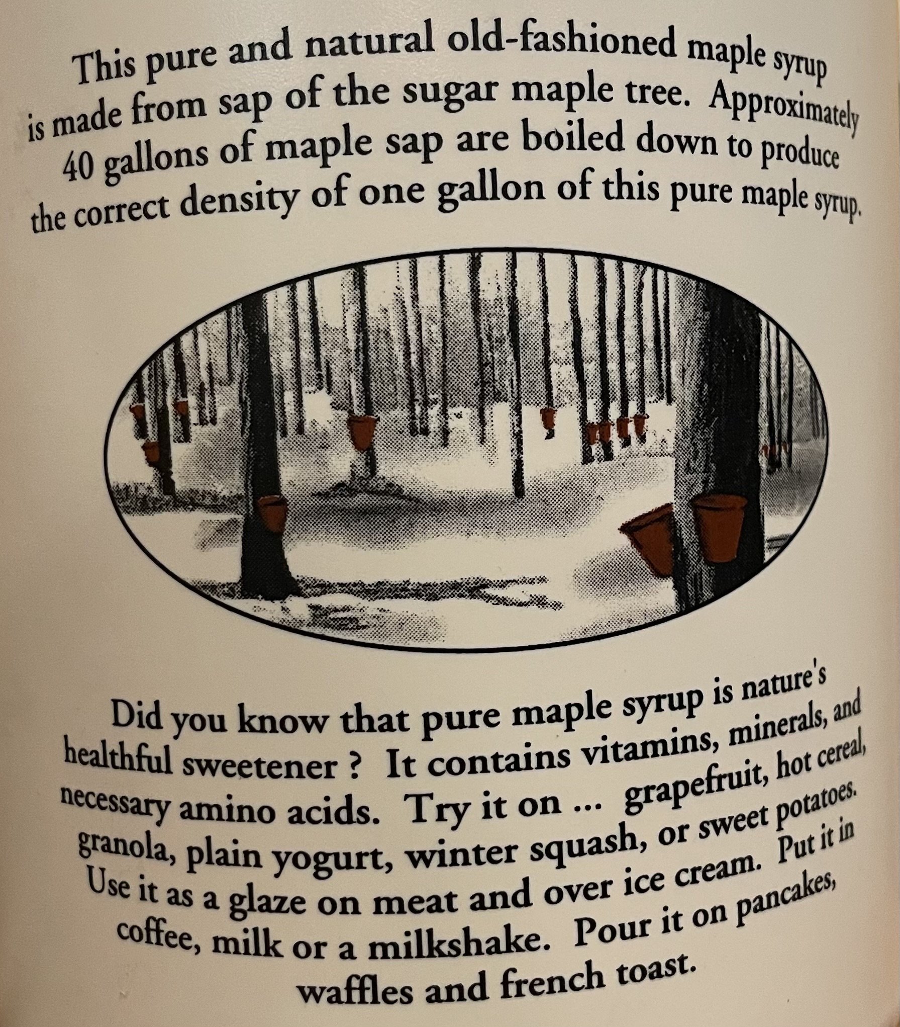 1 Gallon of Pure Maple Syrup