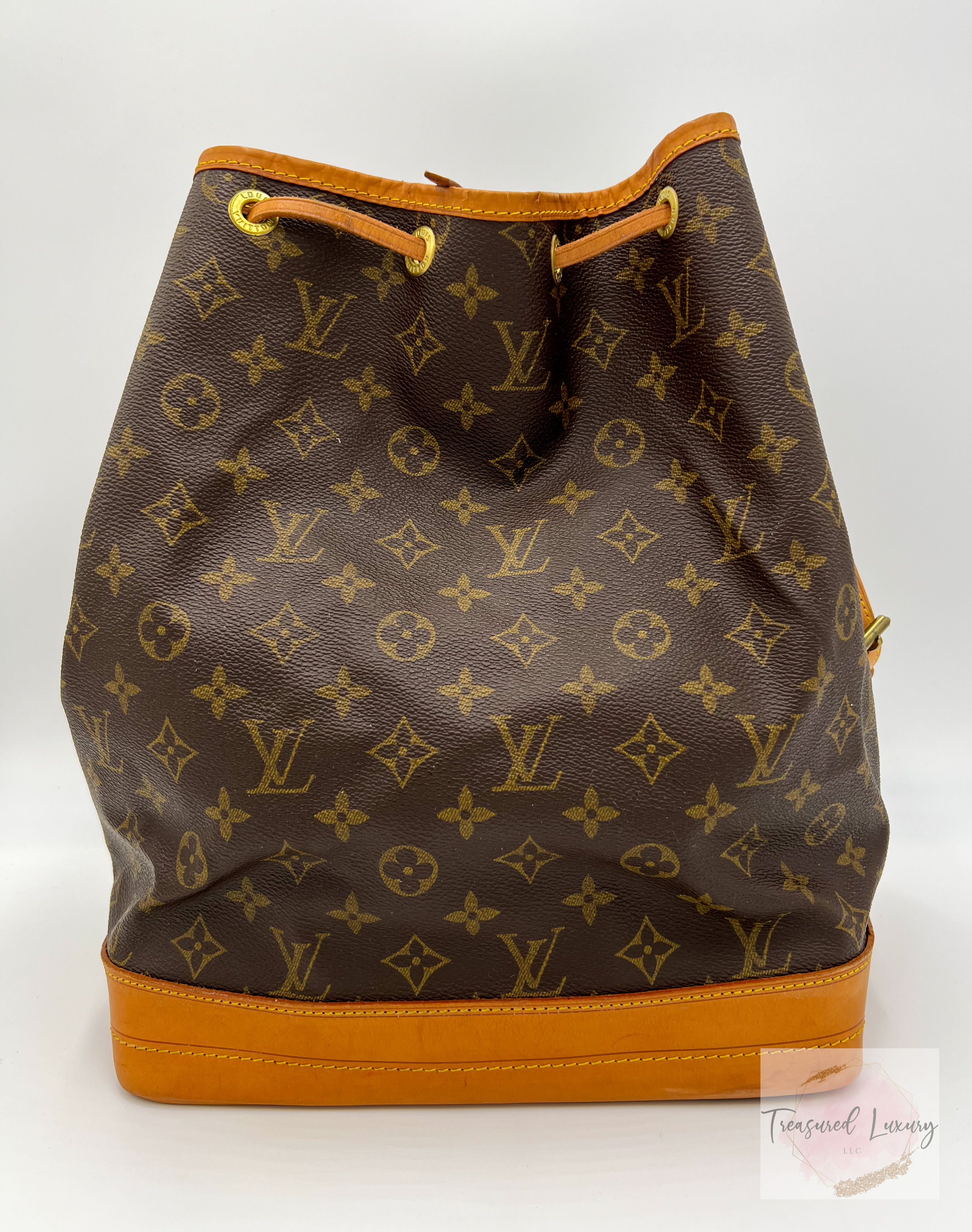 LOUIS VUITTON MONOGRAM NOE