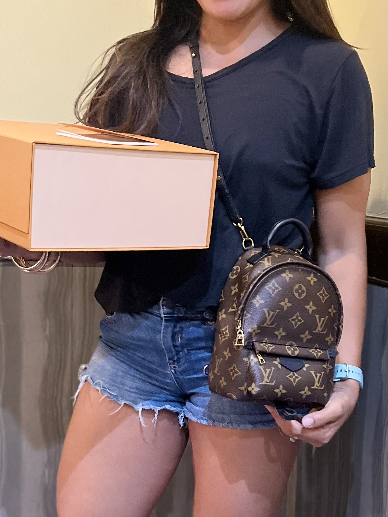 LOUIS VUITTON MONOGRAM PALM SPRINGS MINI