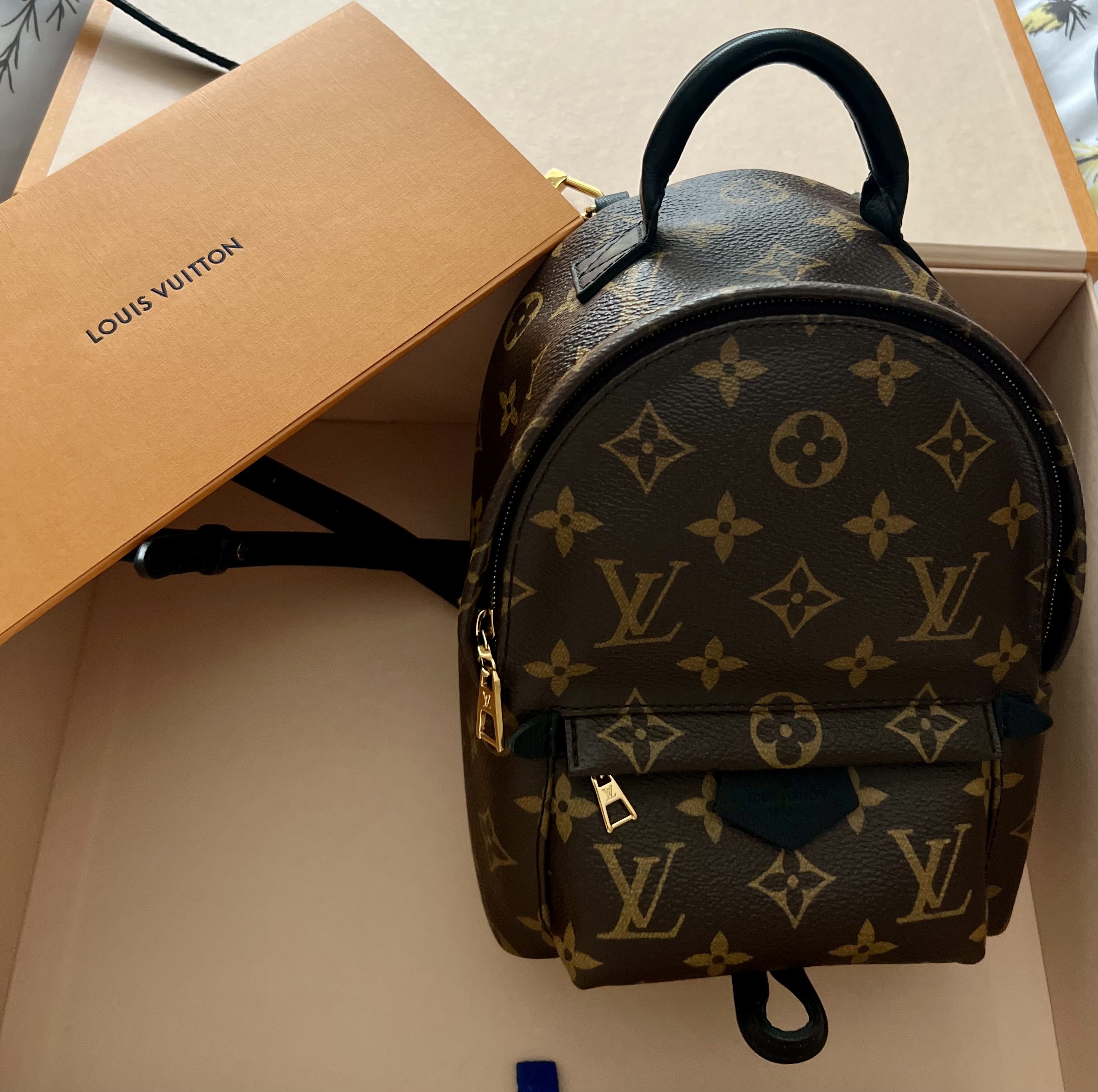 LOUIS VUITTON MONOGRAM PALM SPRINGS MINI