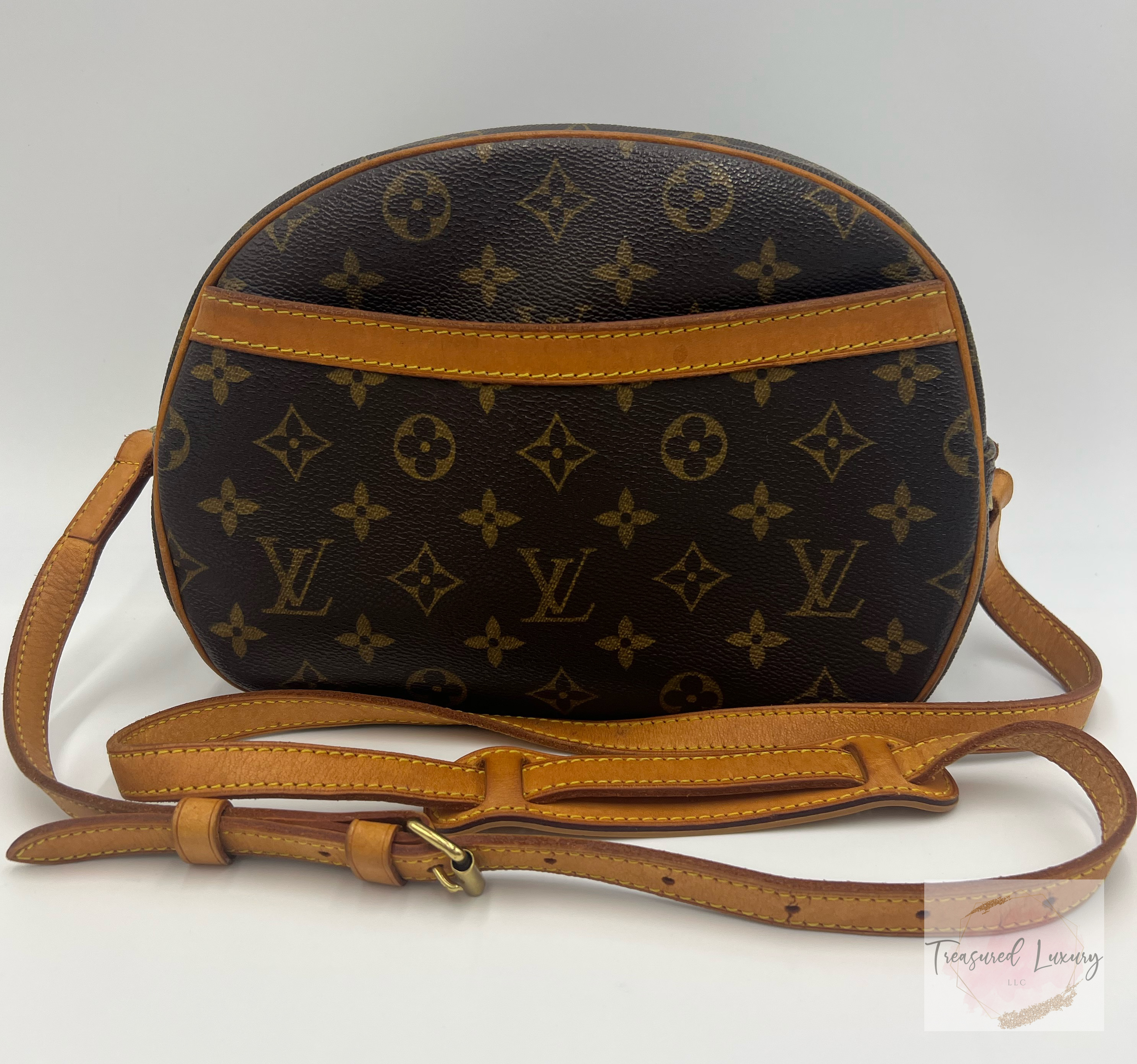 LOUIS VUITTON BLOIS