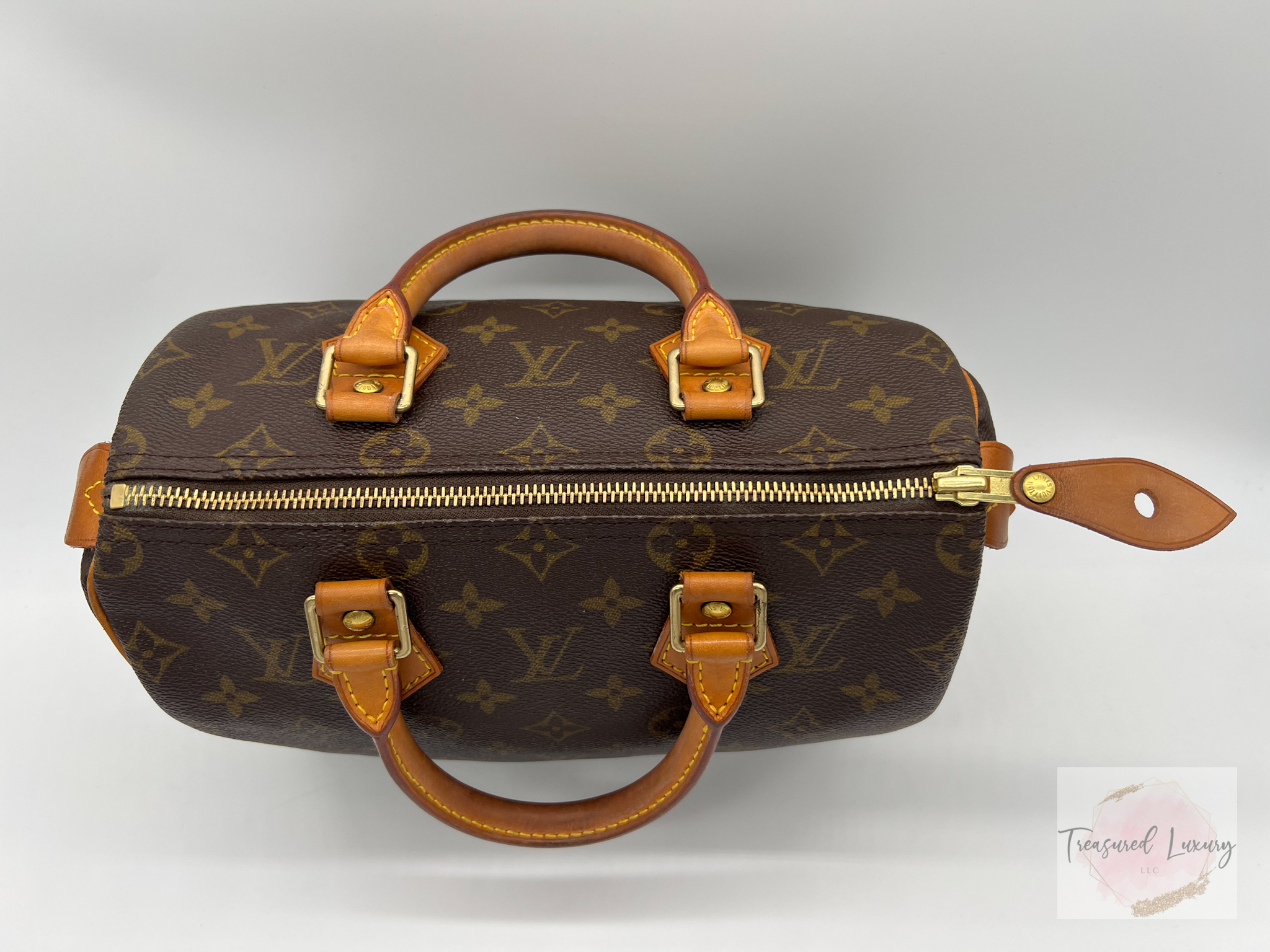 LOUIS VUITTON SPEEDY 25