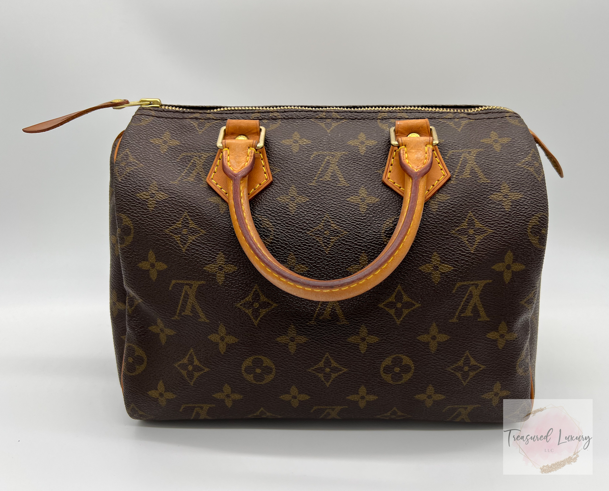 LOUIS VUITTON SPEEDY 25