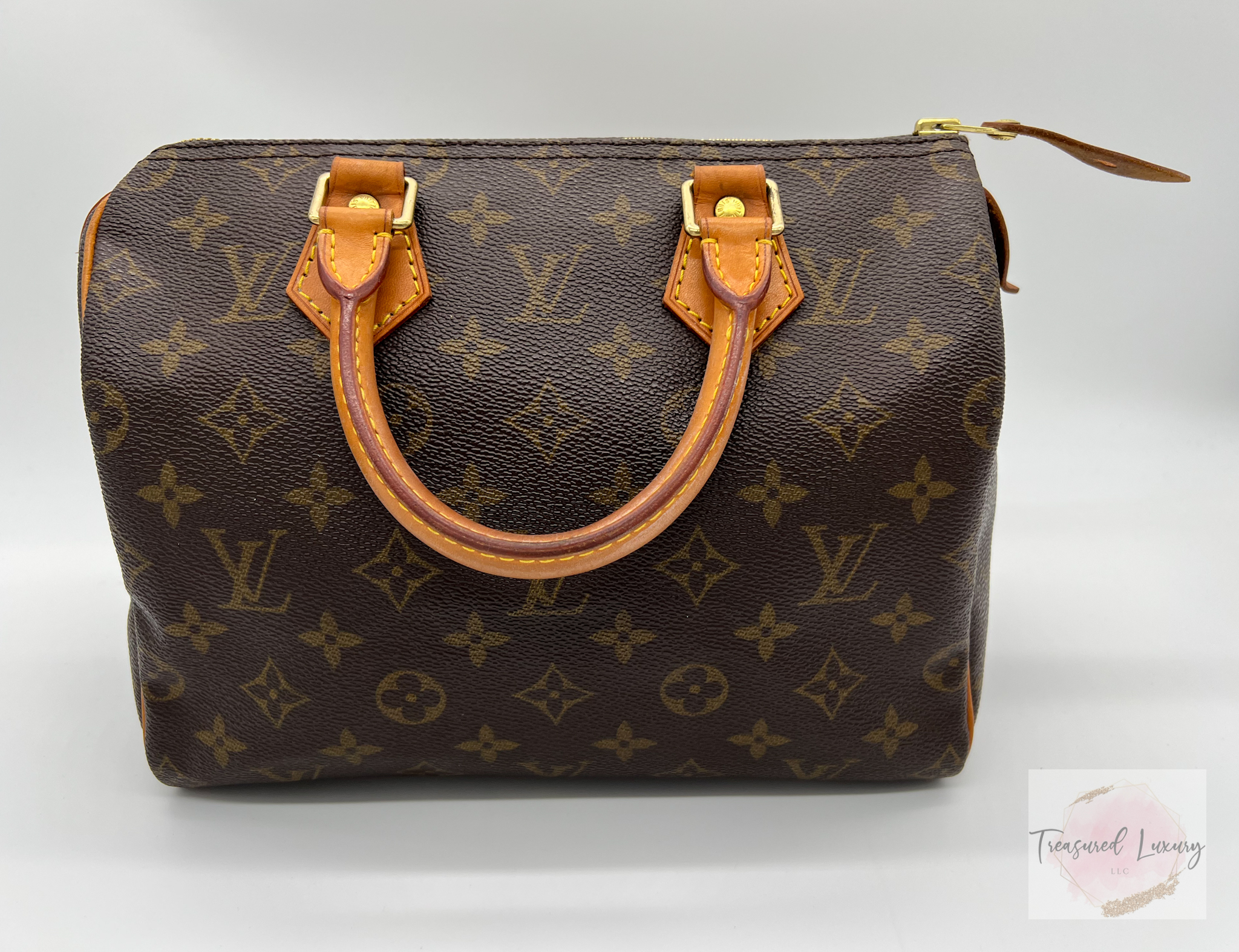 LOUIS VUITTON SPEEDY 25