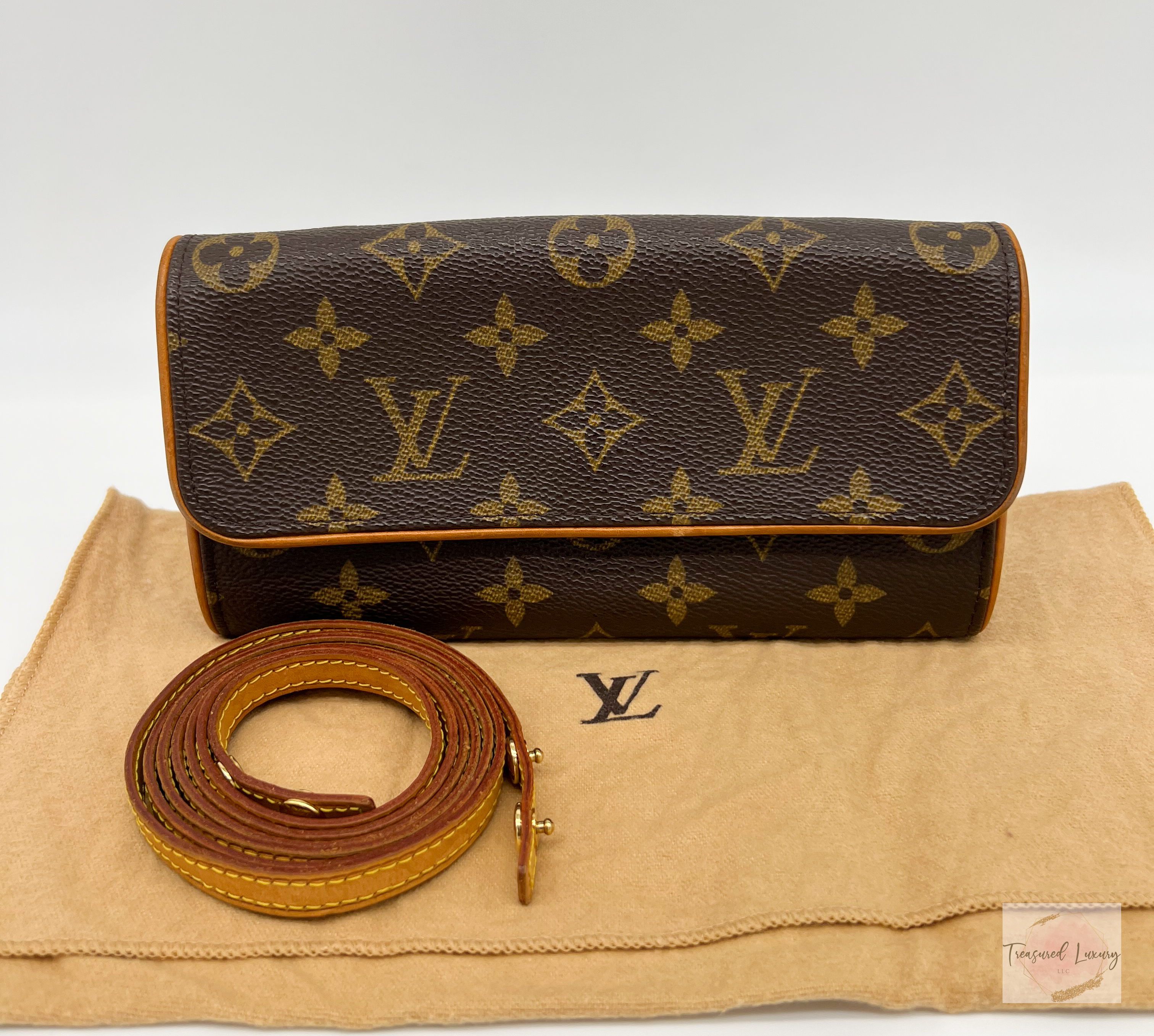 LOUIS VUITTON POCHETTE TWIN PM 2-WAY Clutch