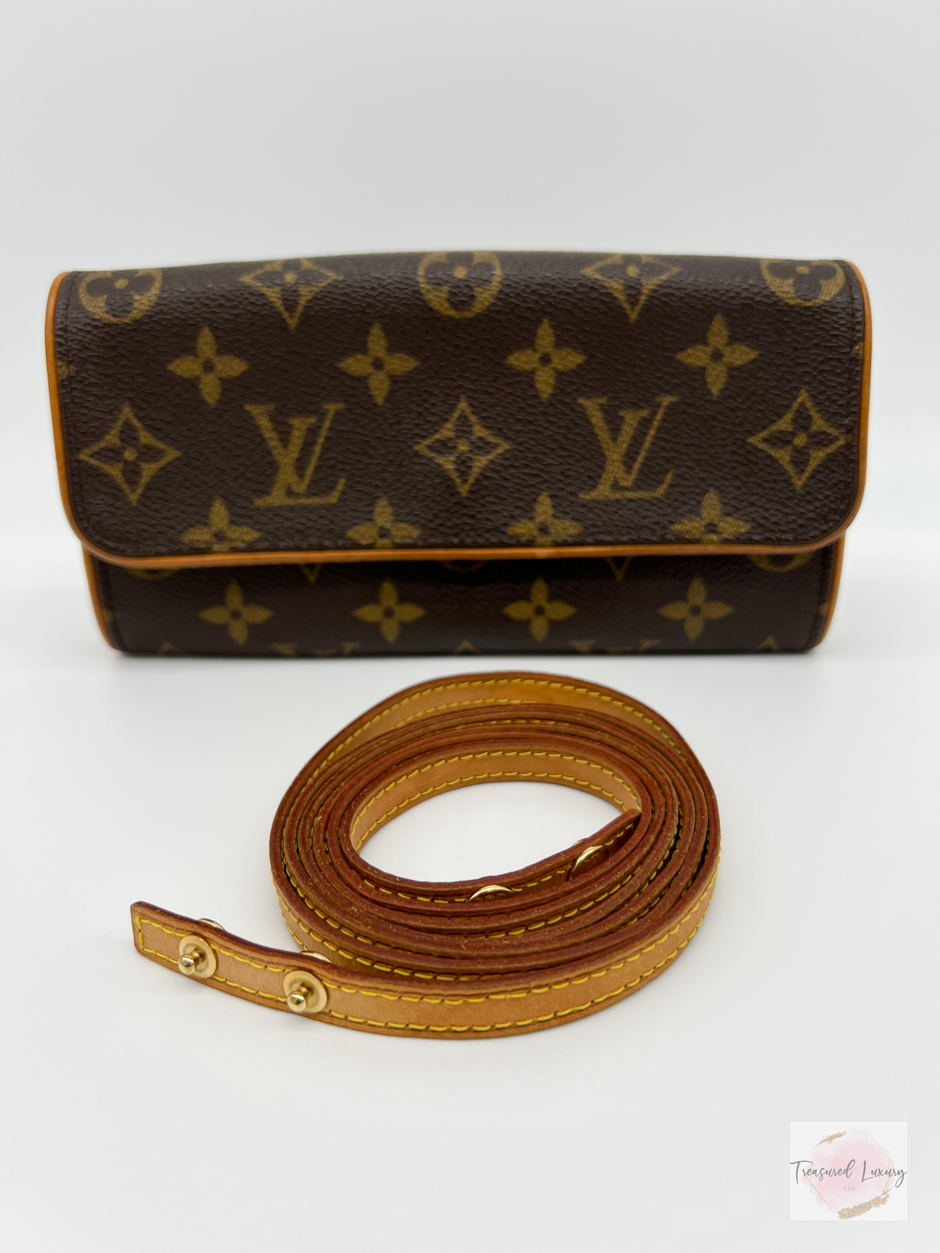 LOUIS VUITTON POCHETTE TWIN PM 2-WAY Clutch