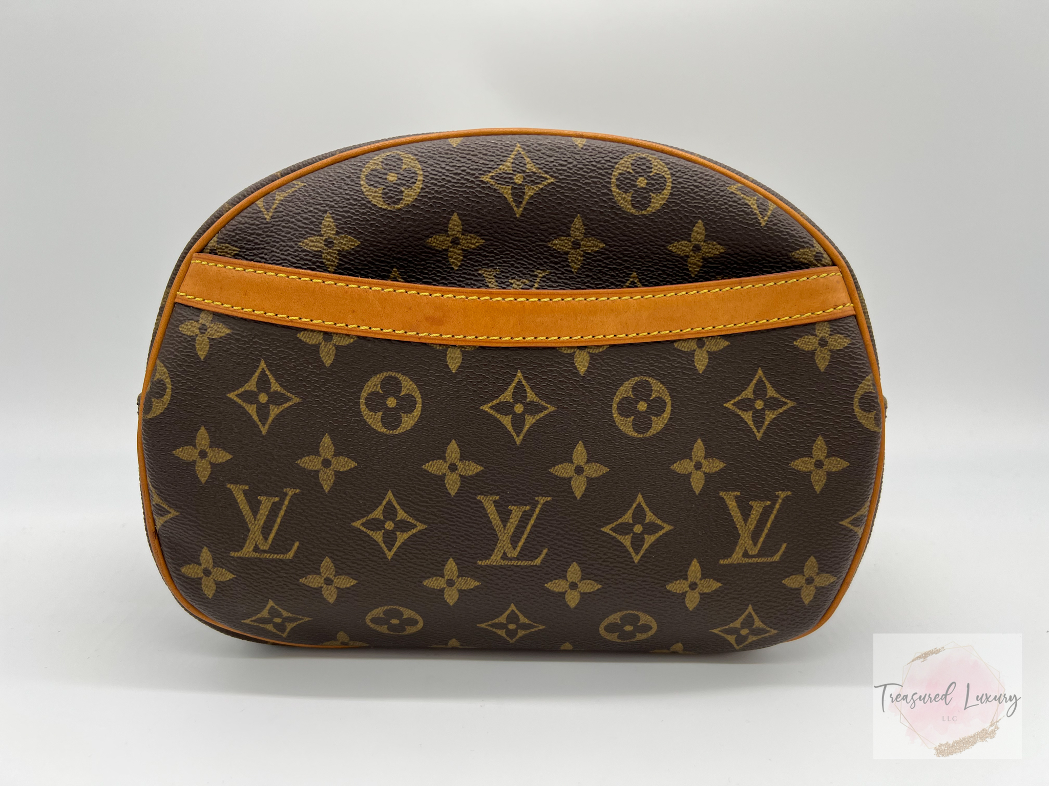 LOUIS VUITTON MONOGRAM BLOIS